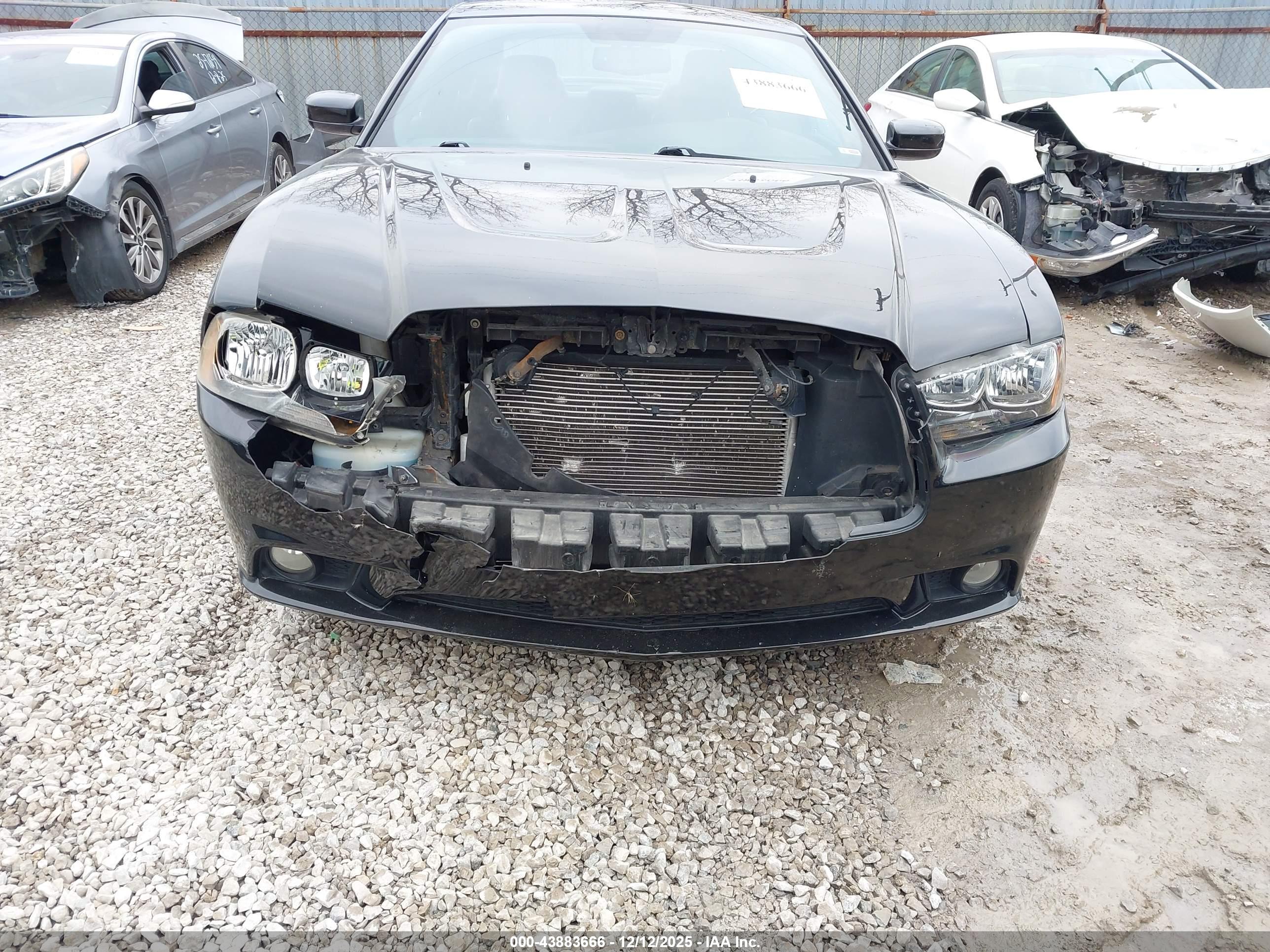 DODGE CHARGER image 6