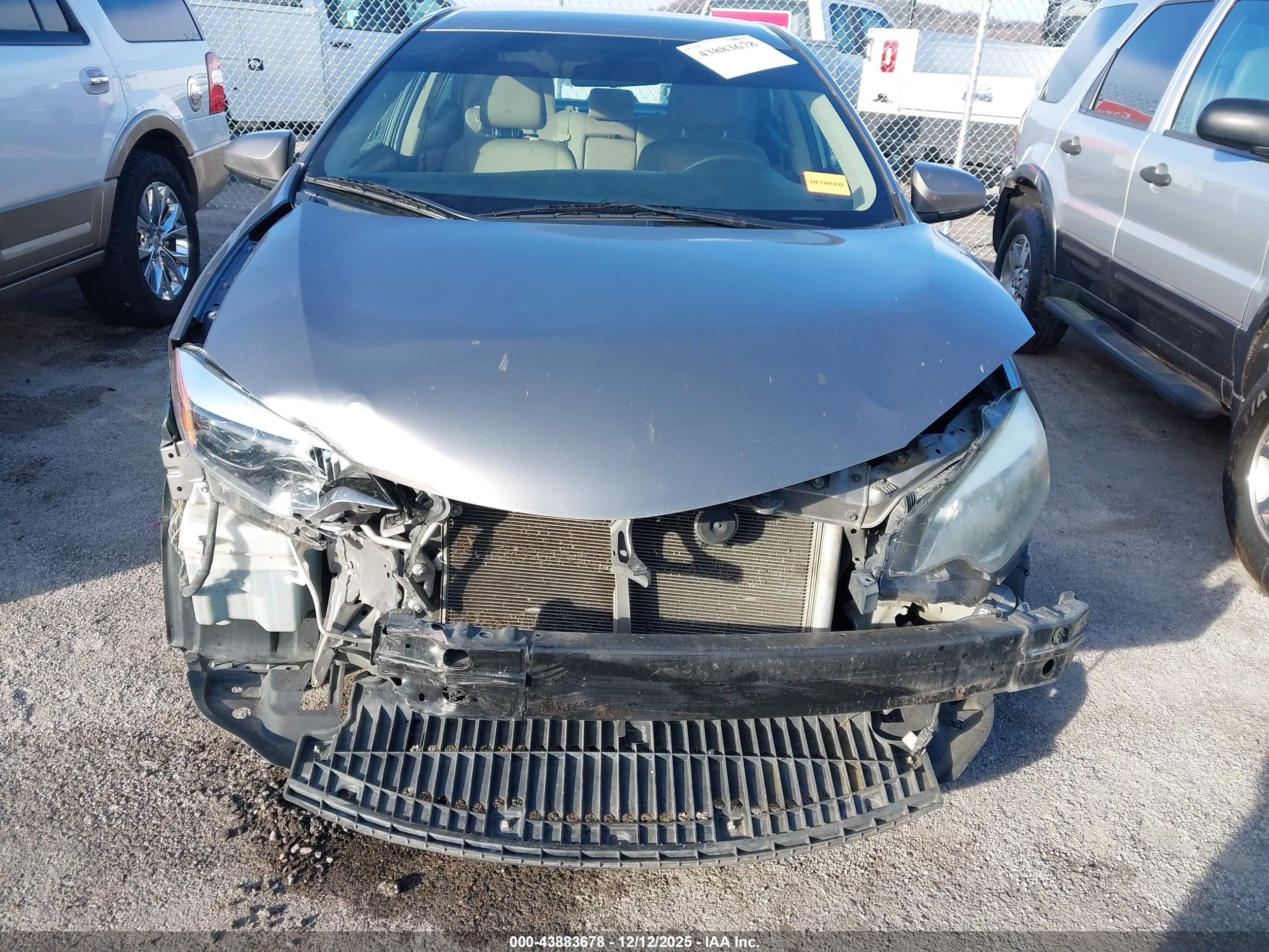 TOYOTA COROLLA image 6