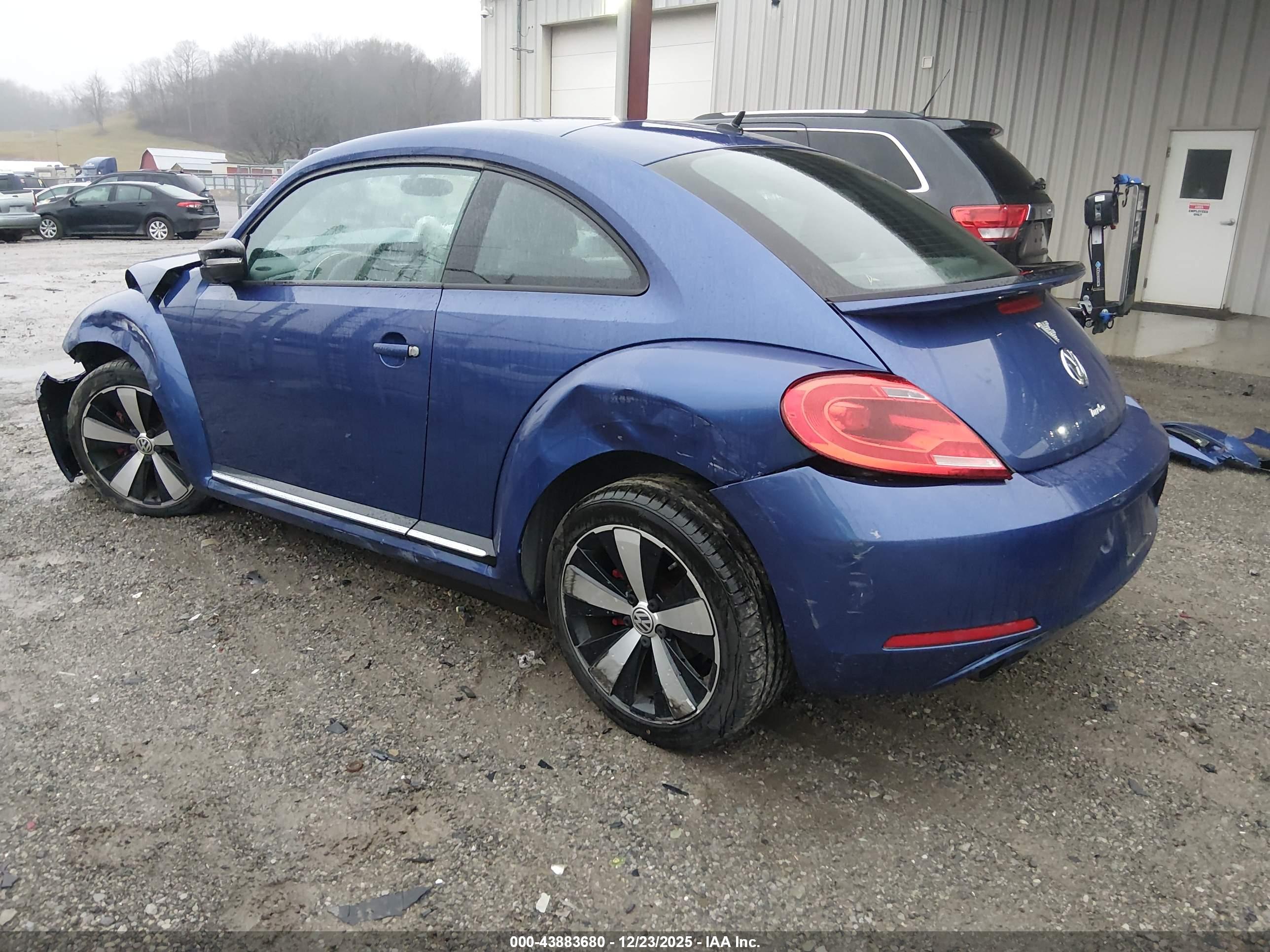 VOLKSWAGEN BEETLE image 3