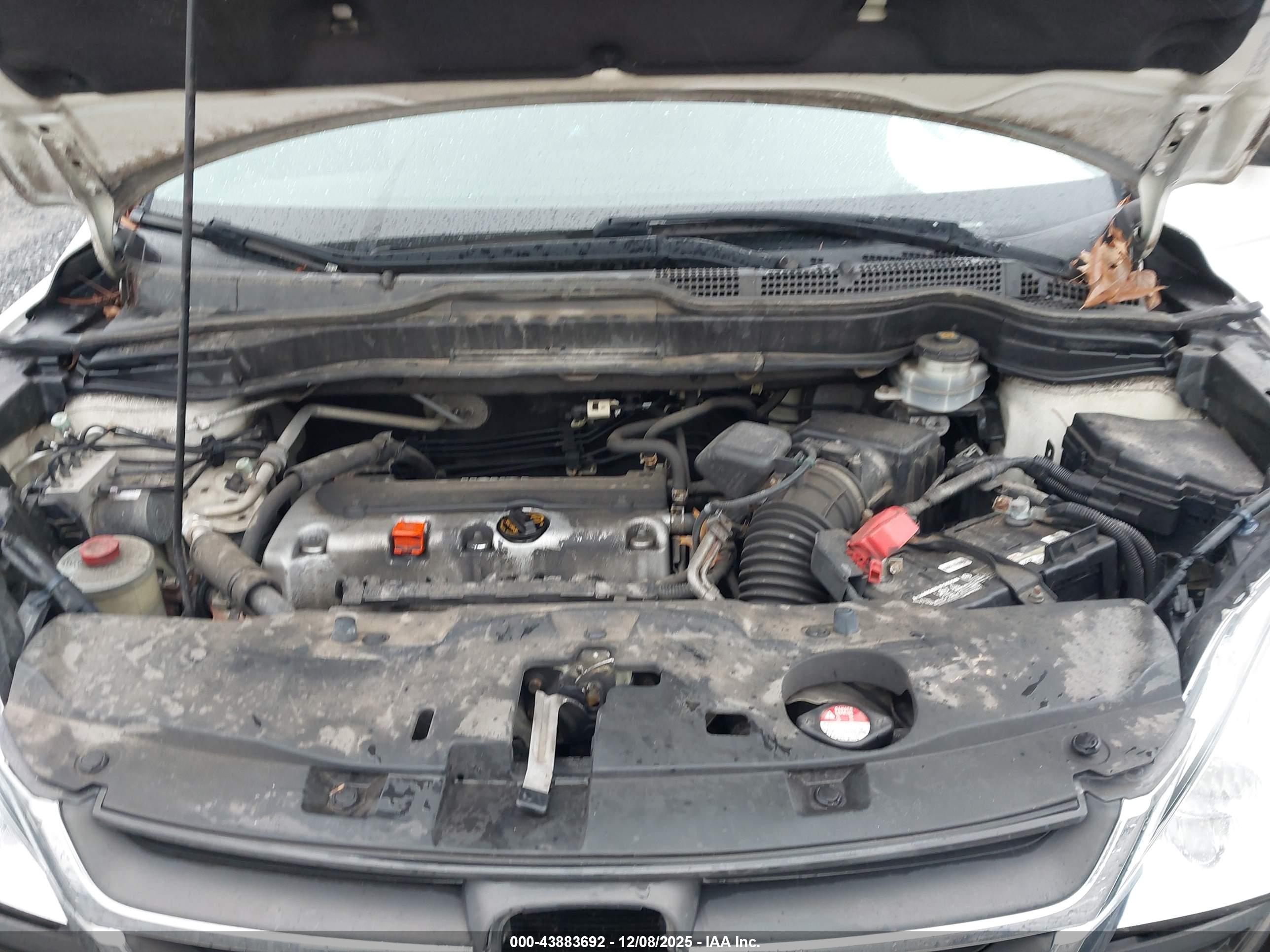 HONDA CR-V image 10