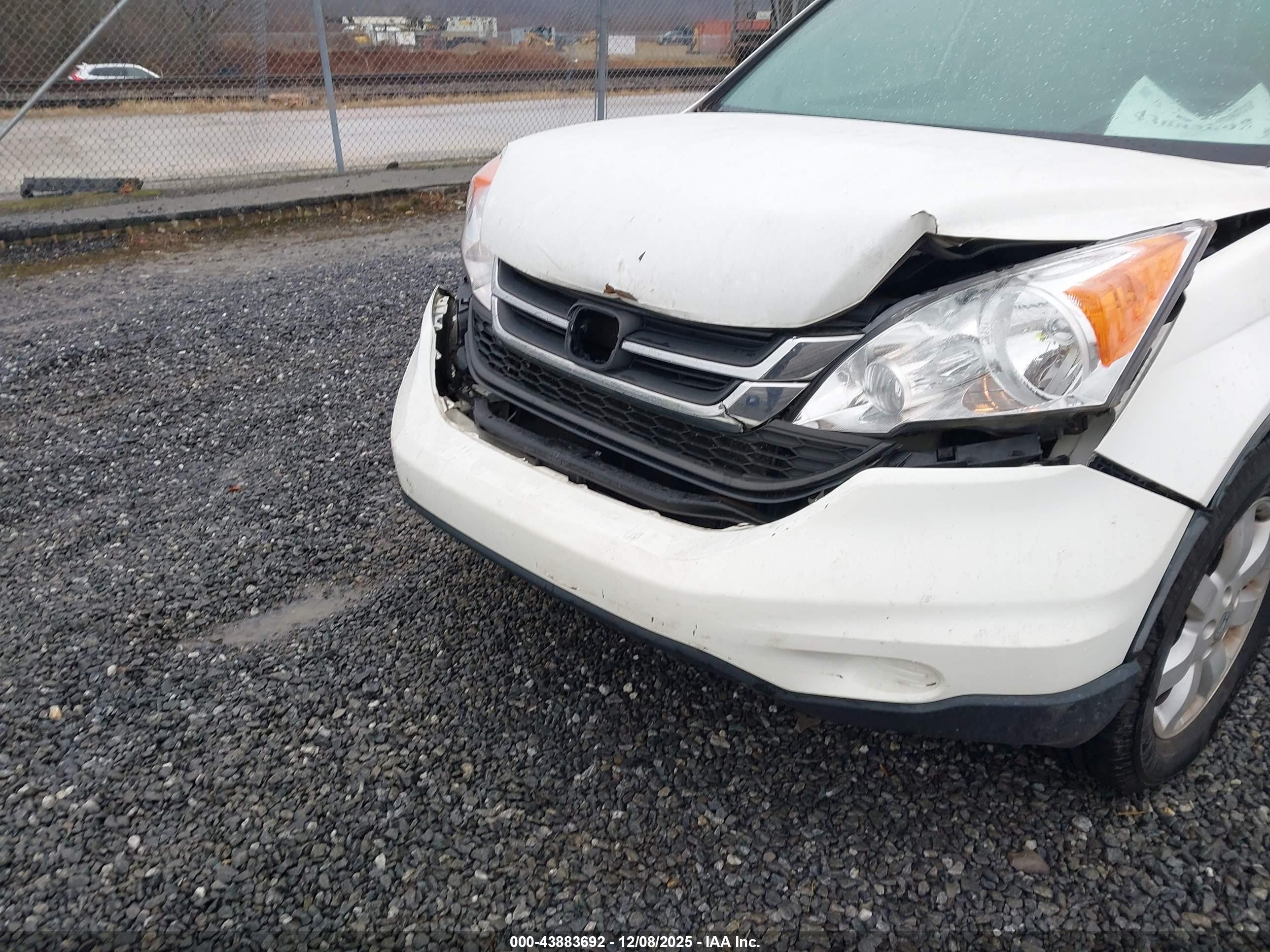 HONDA CR-V image 6