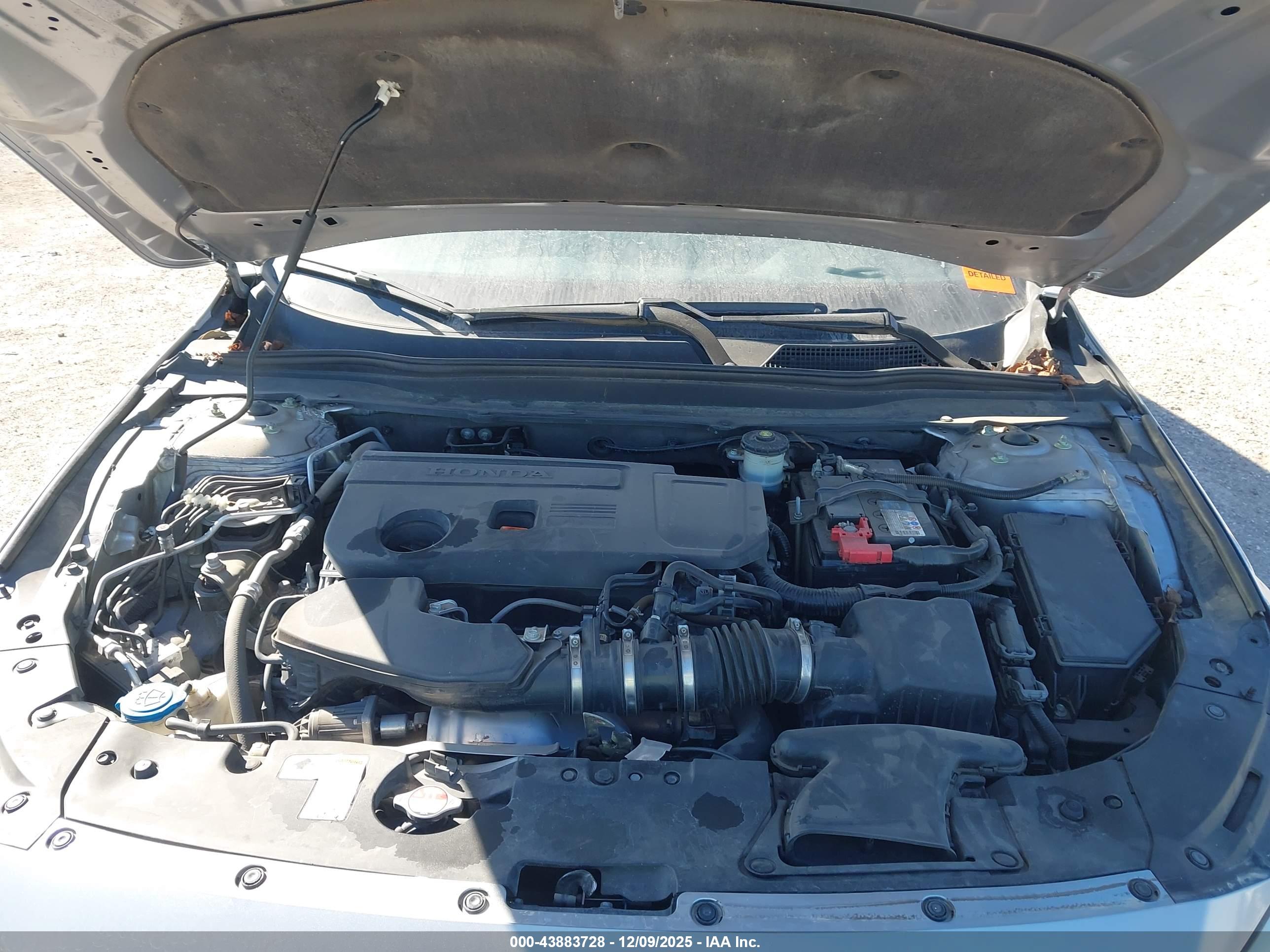 HONDA ACCORD image 10