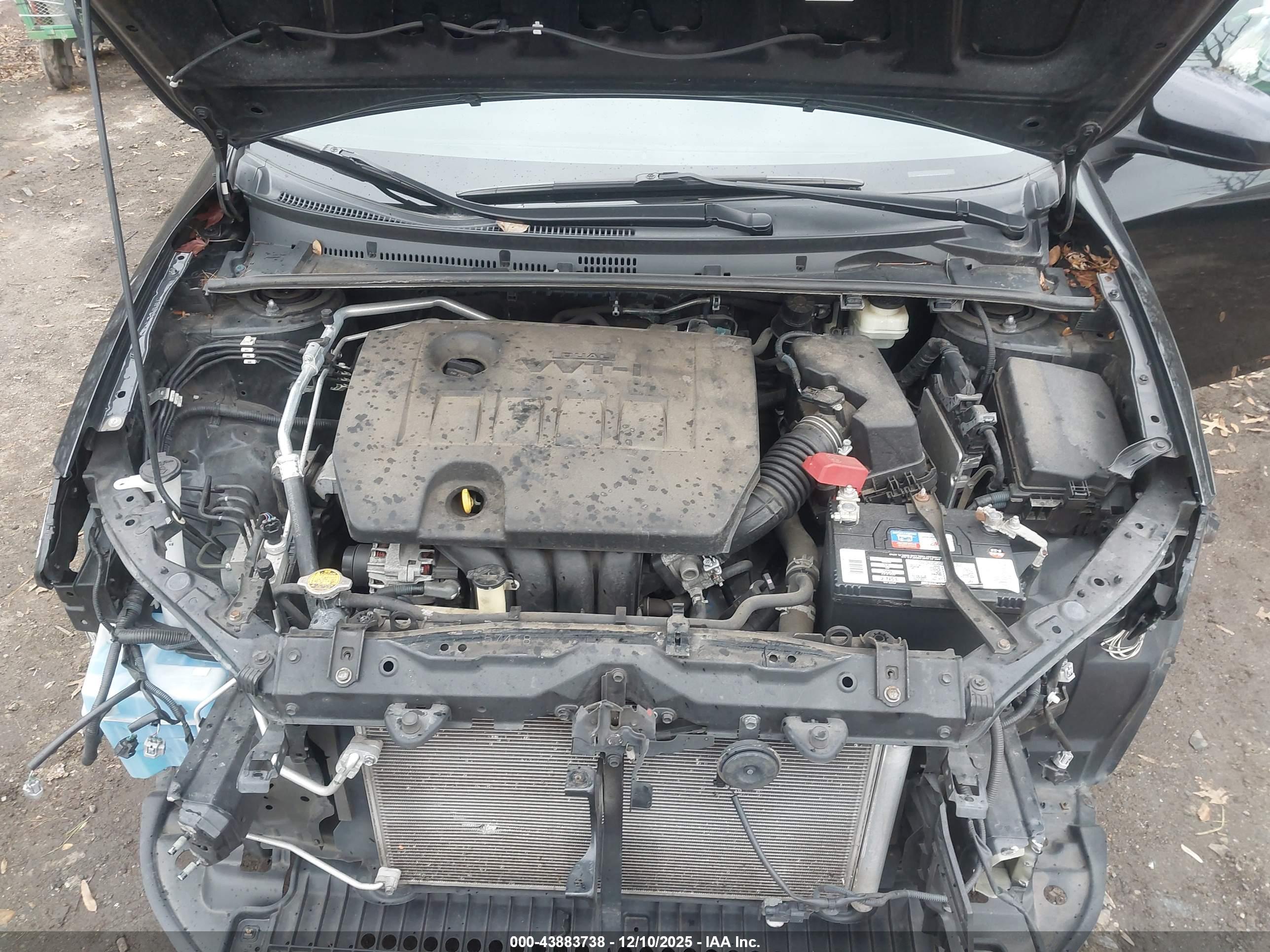 TOYOTA COROLLA image 10