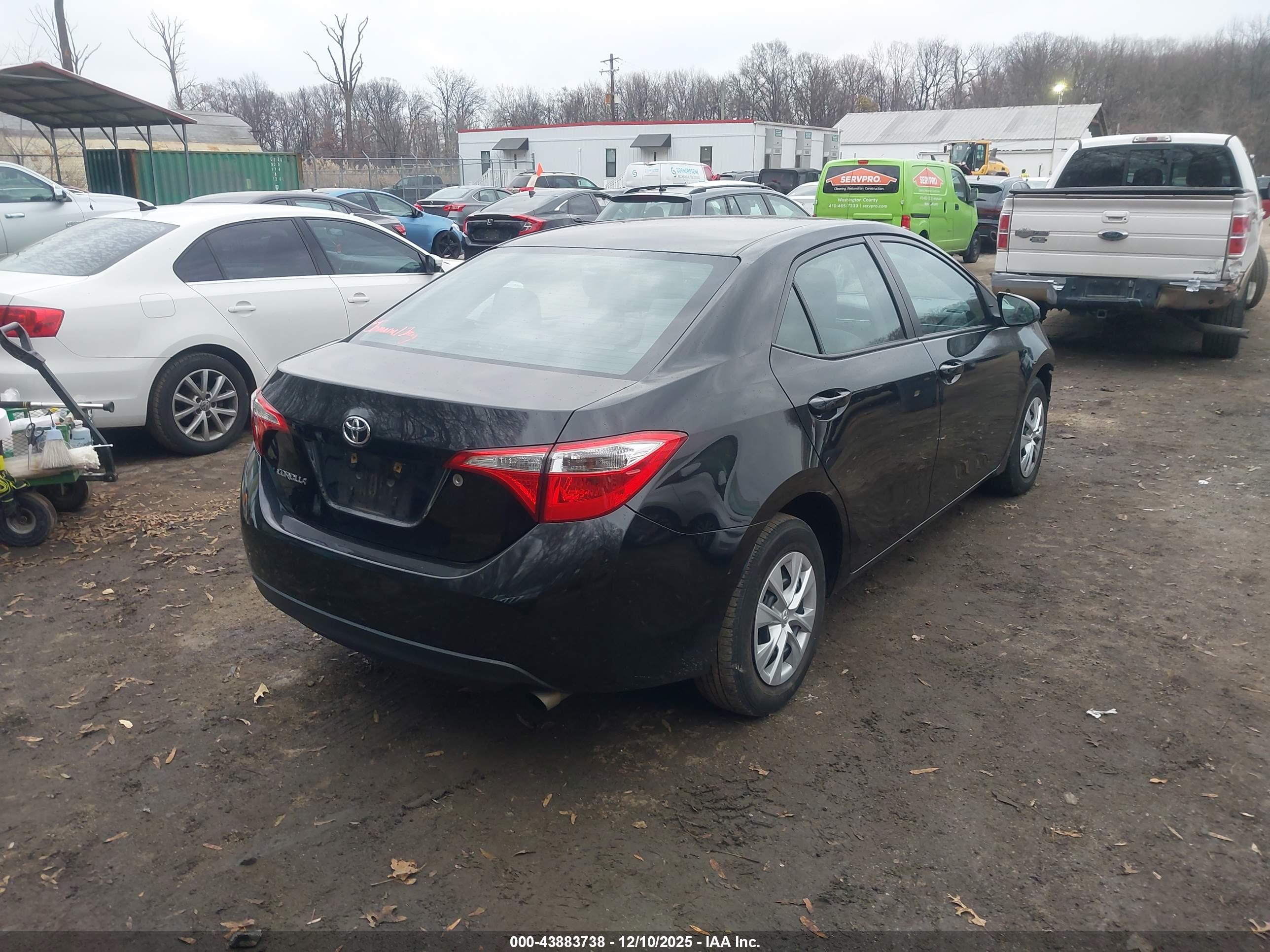 TOYOTA COROLLA image 4