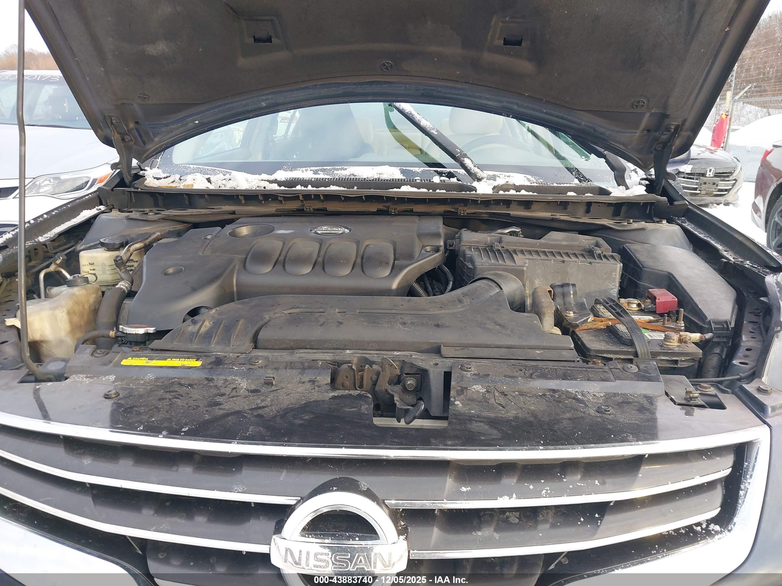 NISSAN ALTIMA image 10