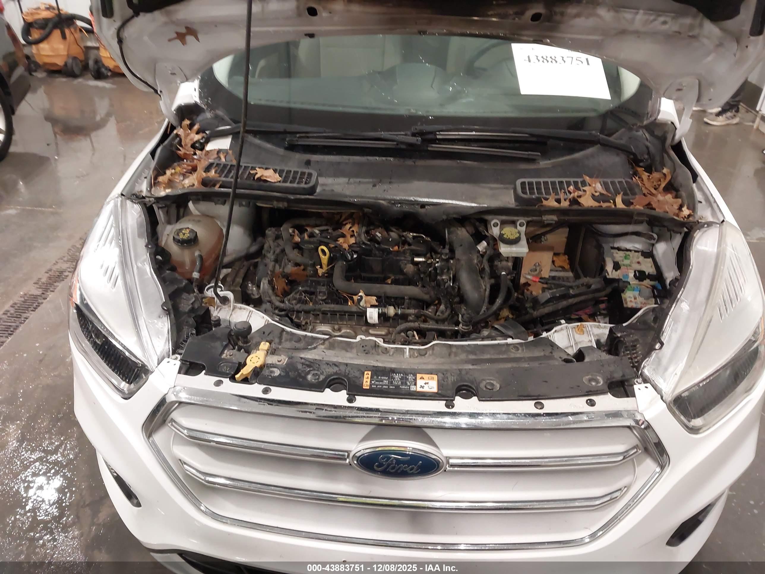 FORD ESCAPE image 10