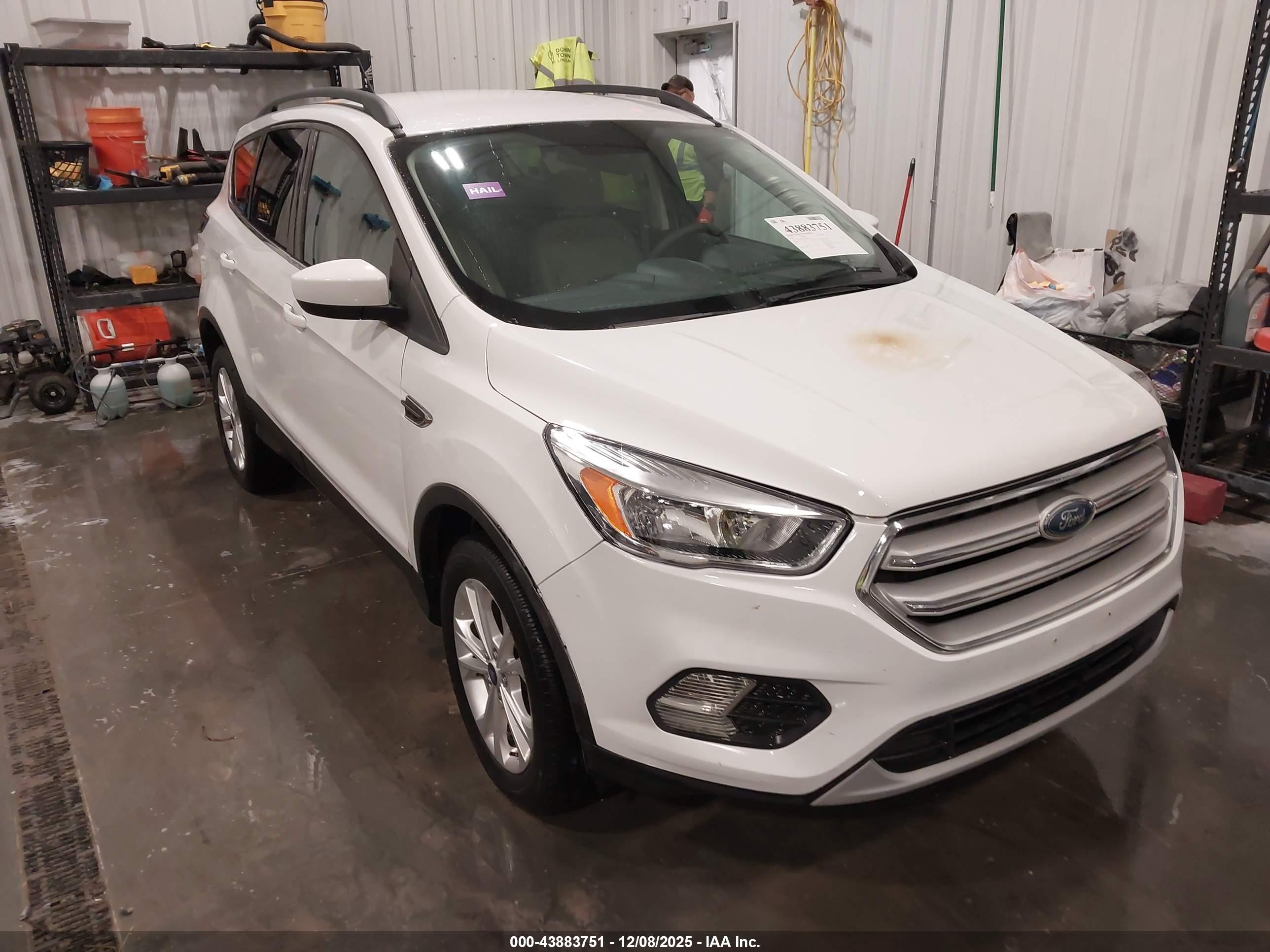 FORD ESCAPE image 6