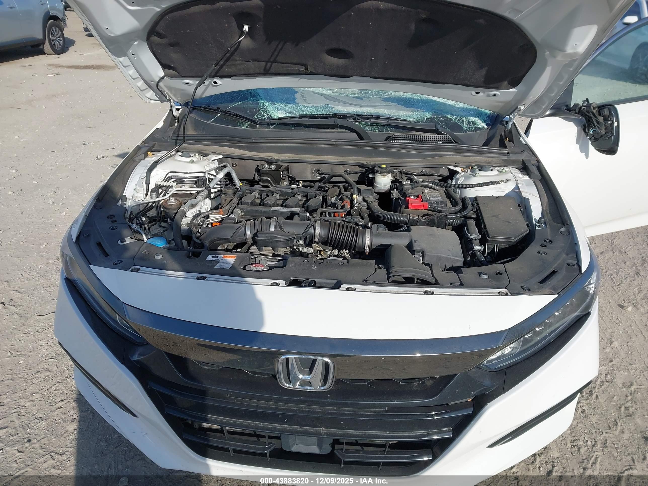 HONDA ACCORD image 10