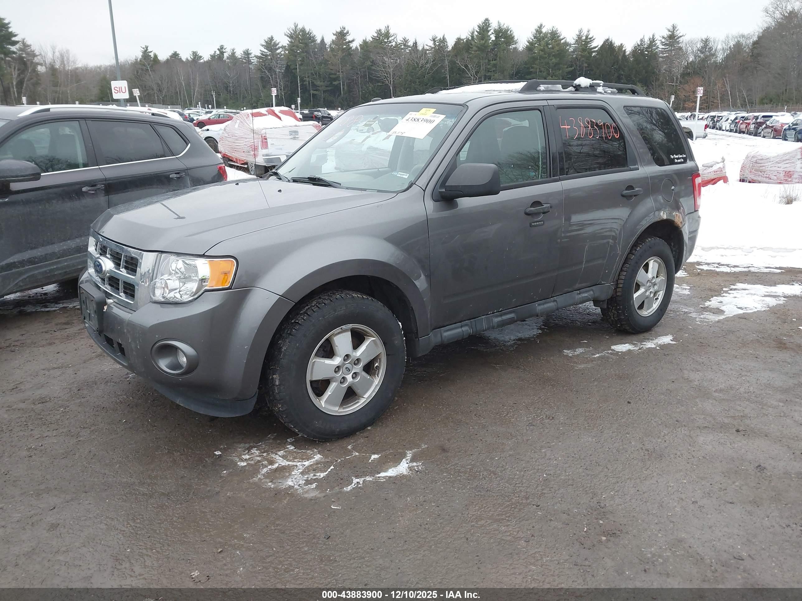 FORD ESCAPE image 2