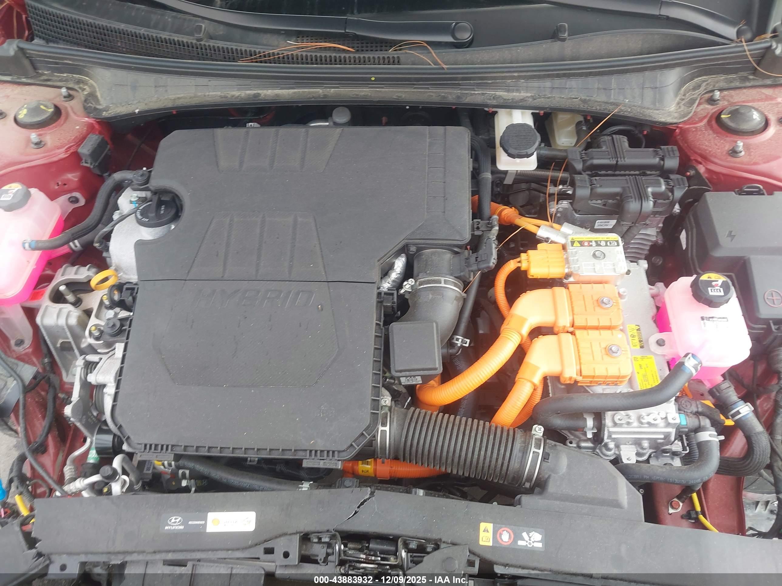 HYUNDAI ELANTRA image 10