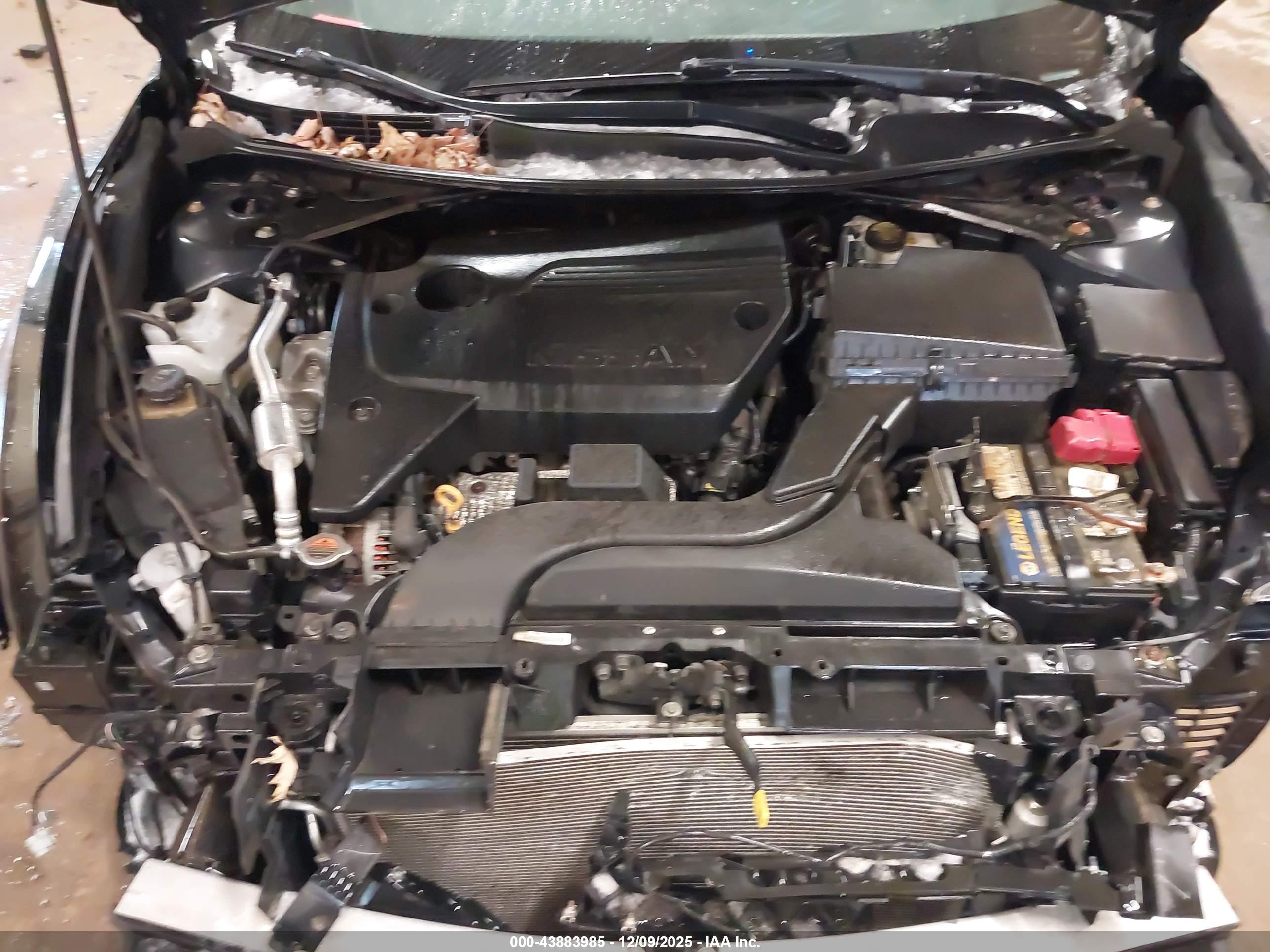 NISSAN ALTIMA image 10