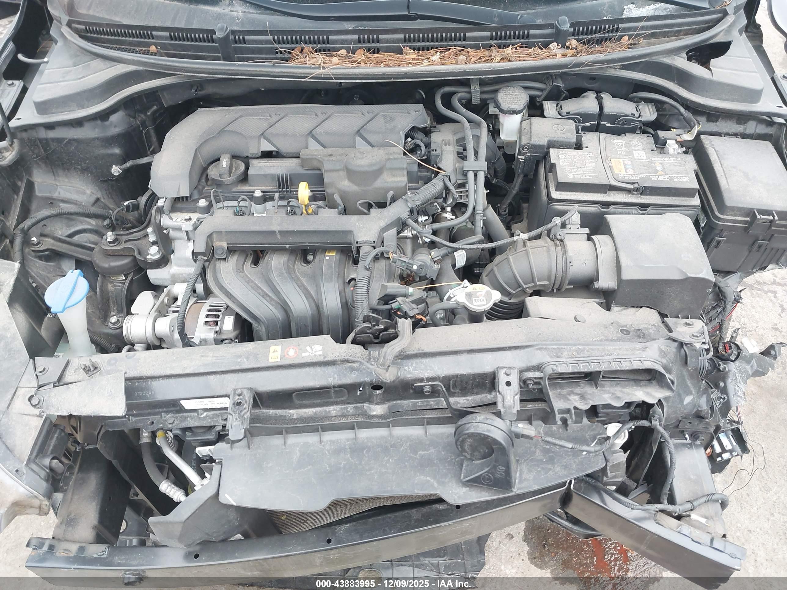 KIA RIO image 10