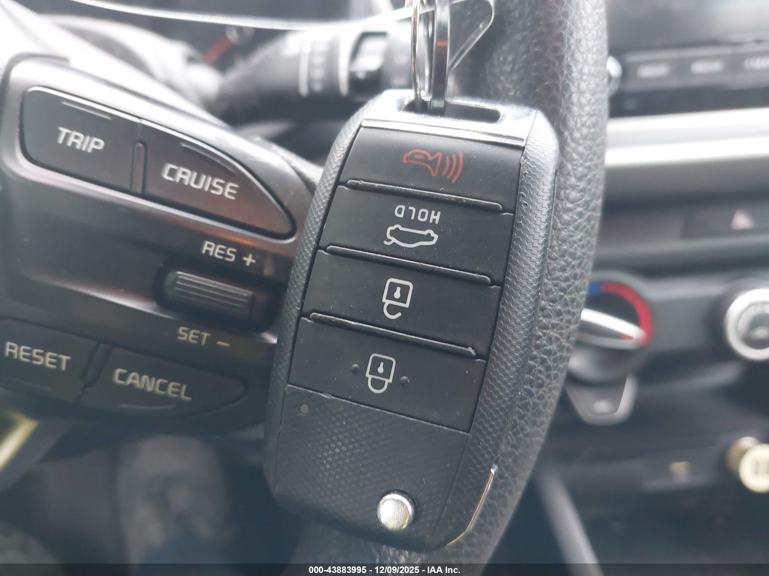 KIA RIO image 11