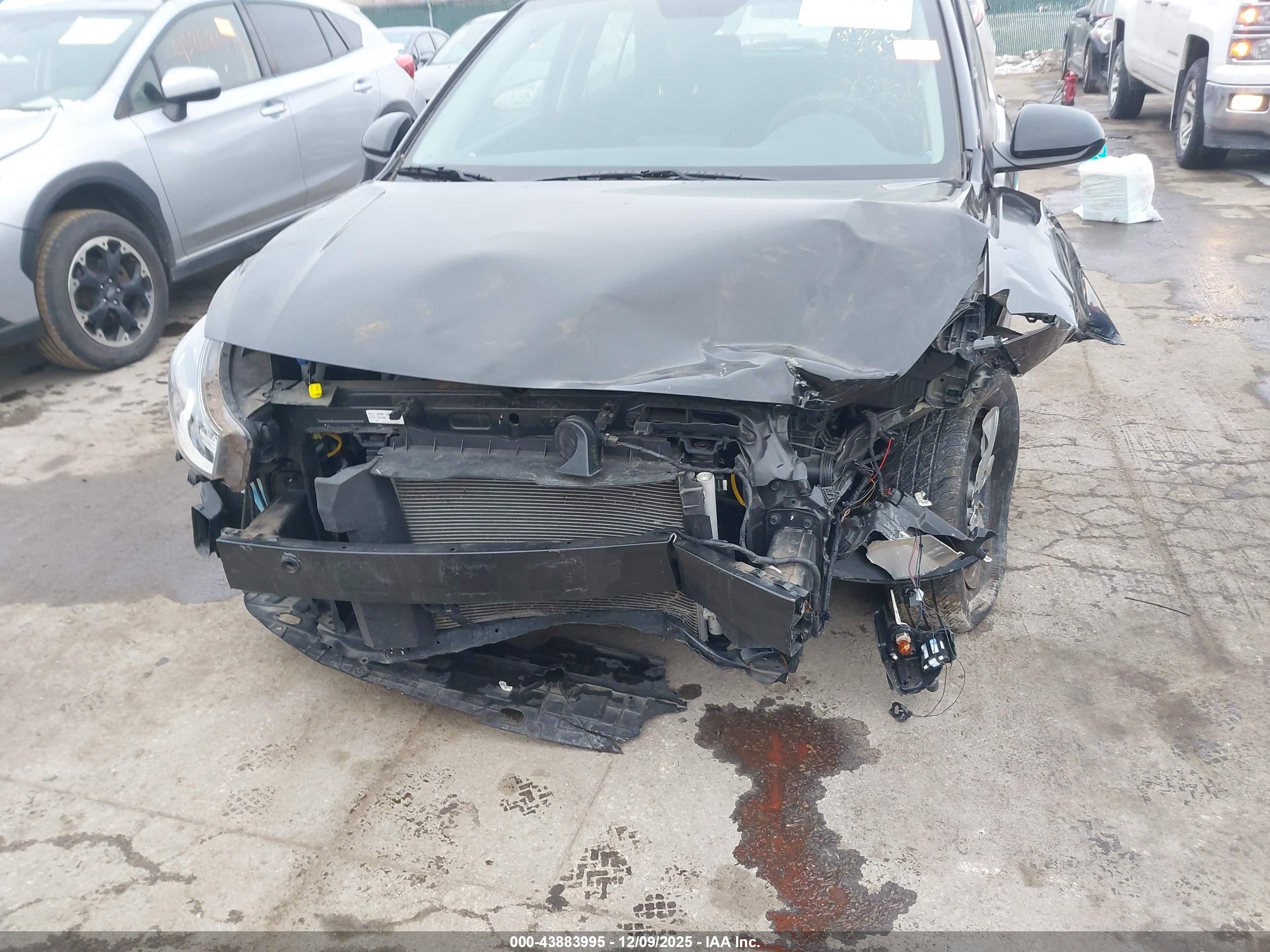 KIA RIO image 6
