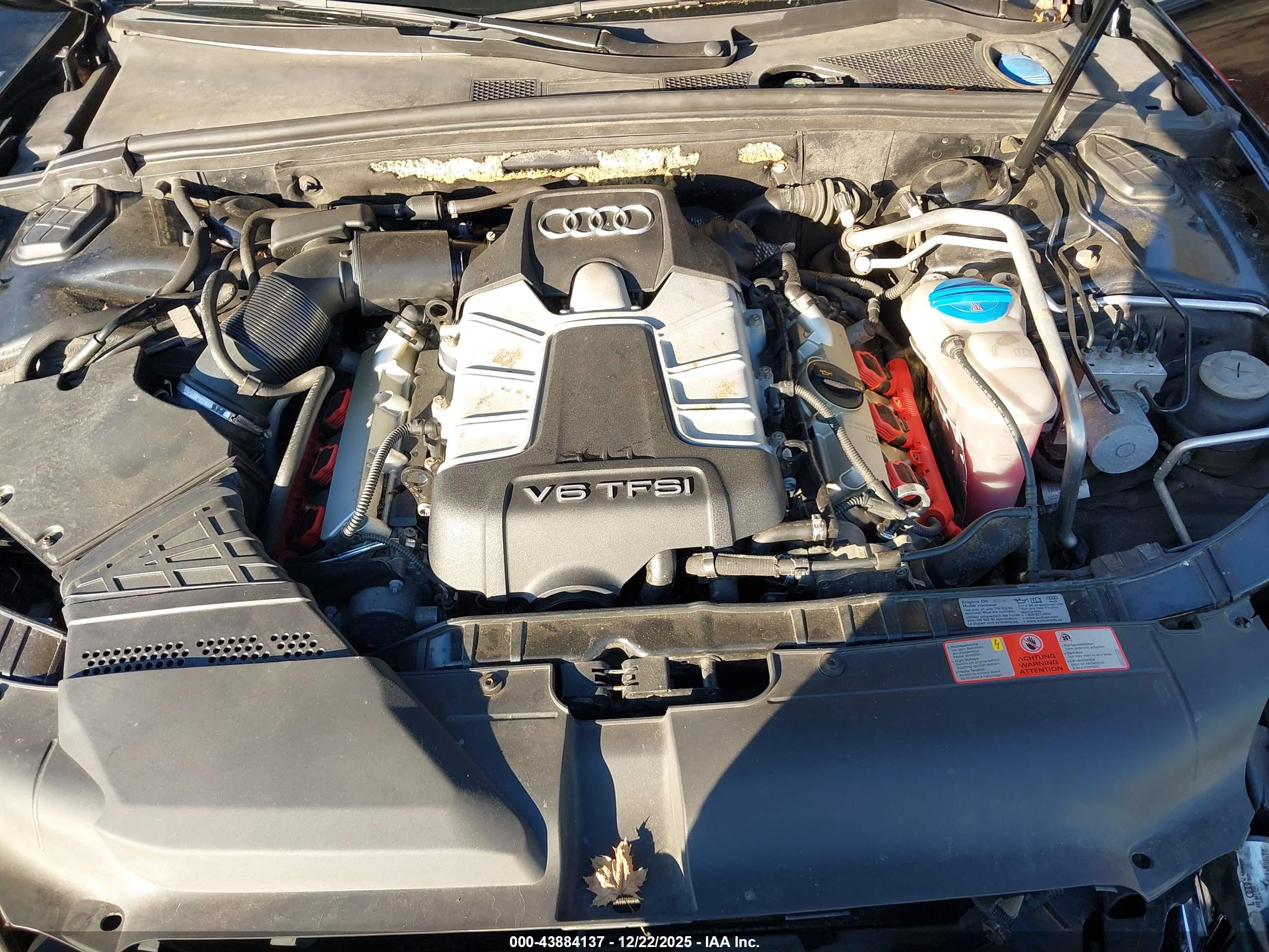 AUDI S5 image 10