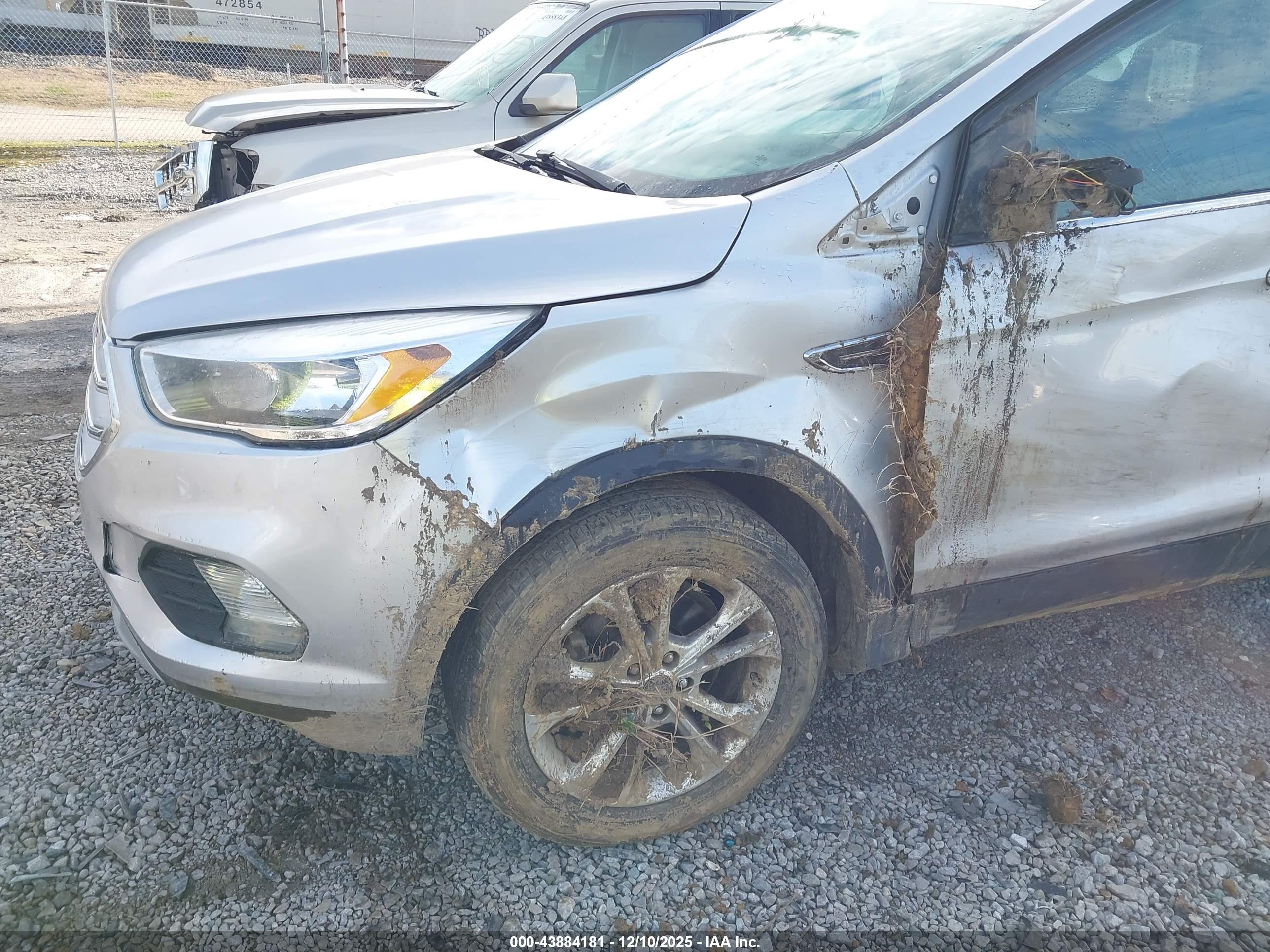FORD ESCAPE image 6