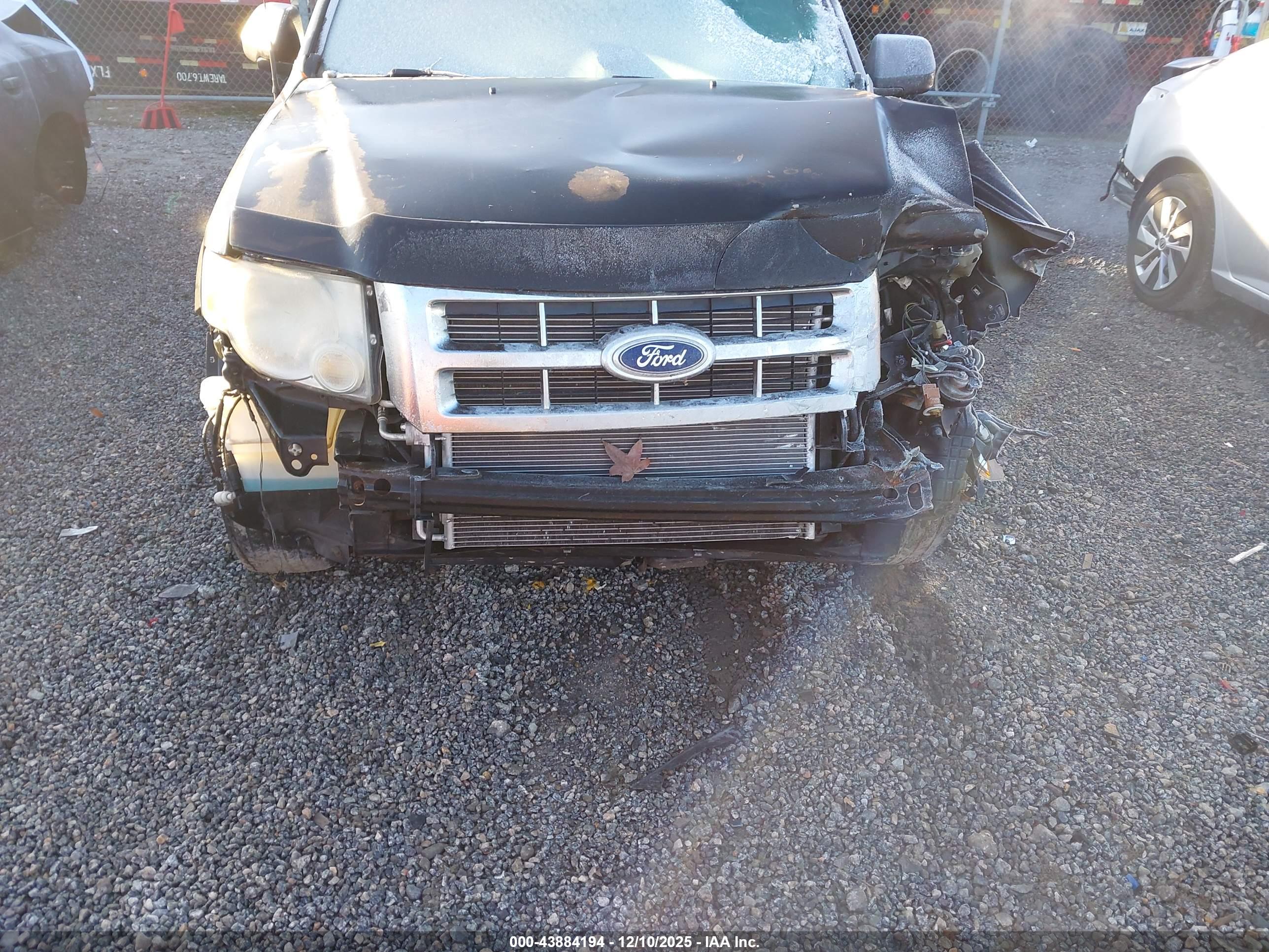FORD ESCAPE image 6