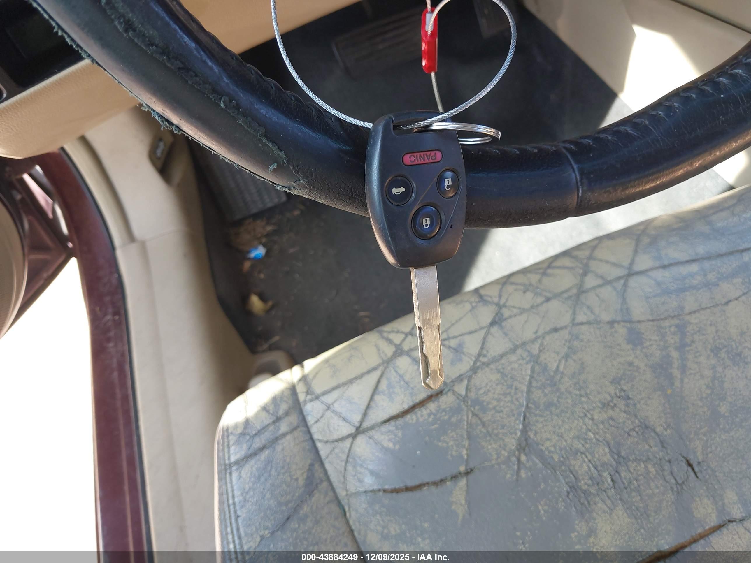 HONDA ACCORD image 11