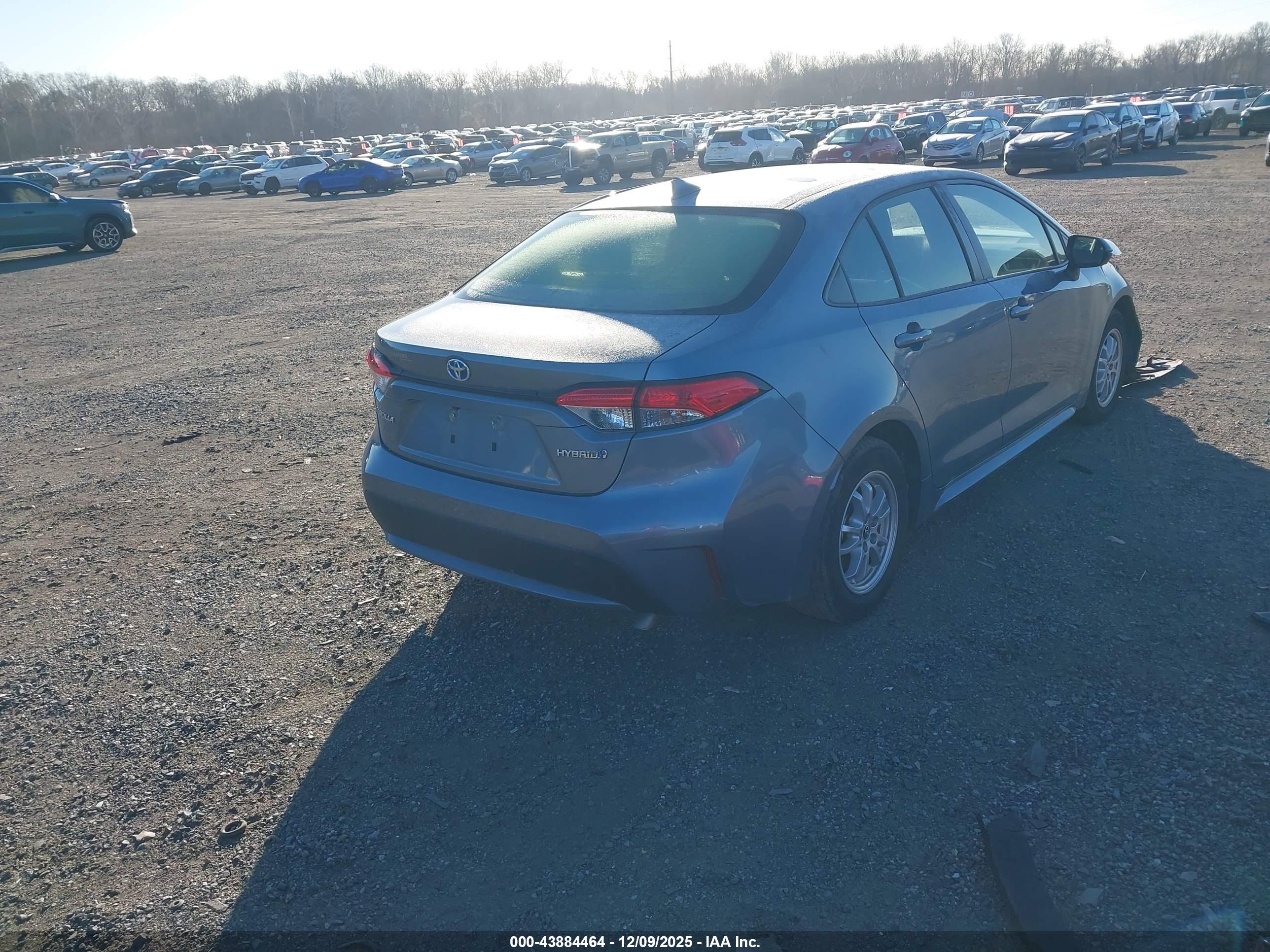 TOYOTA COROLLA image 4