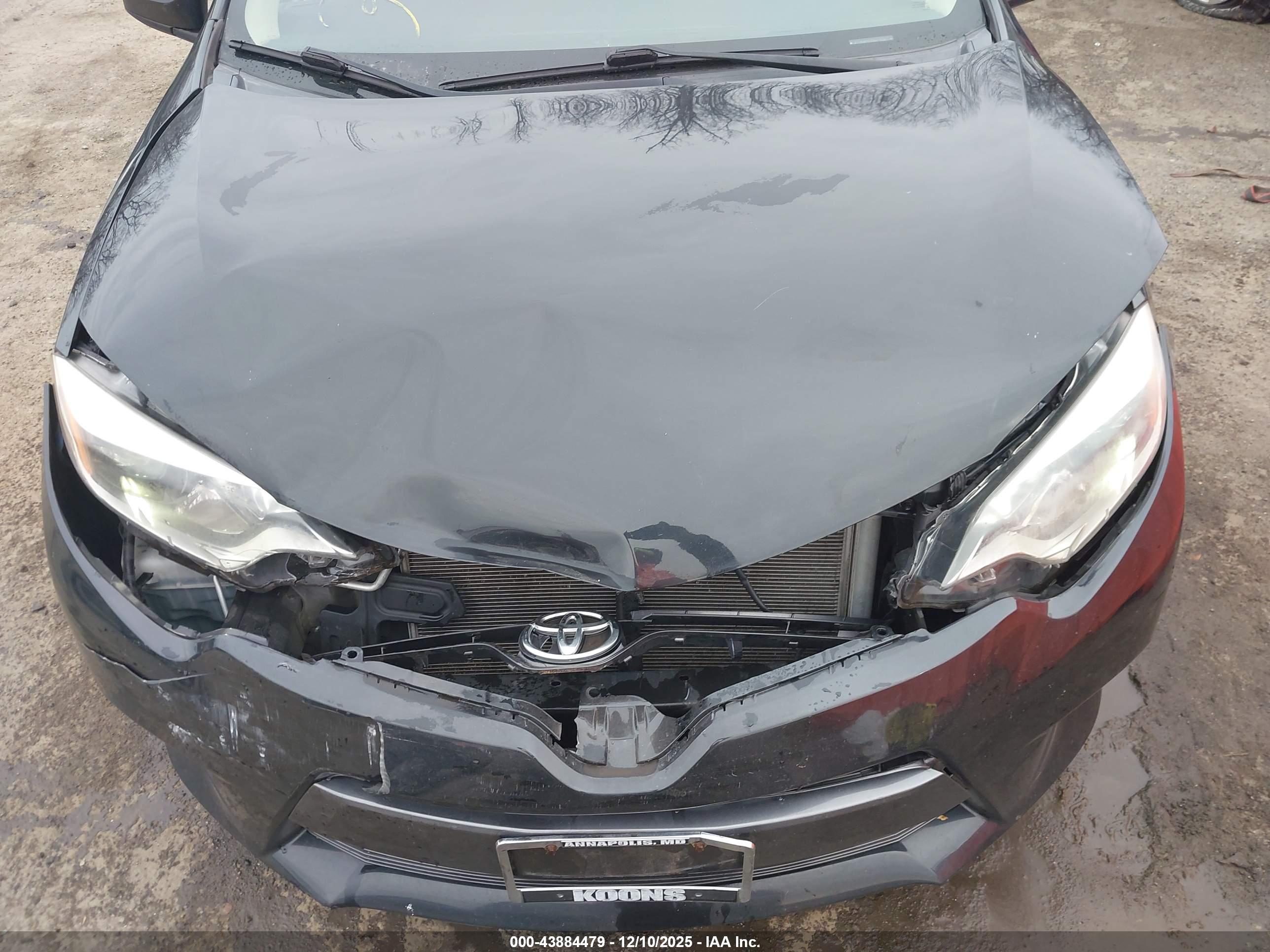 TOYOTA COROLLA image 10