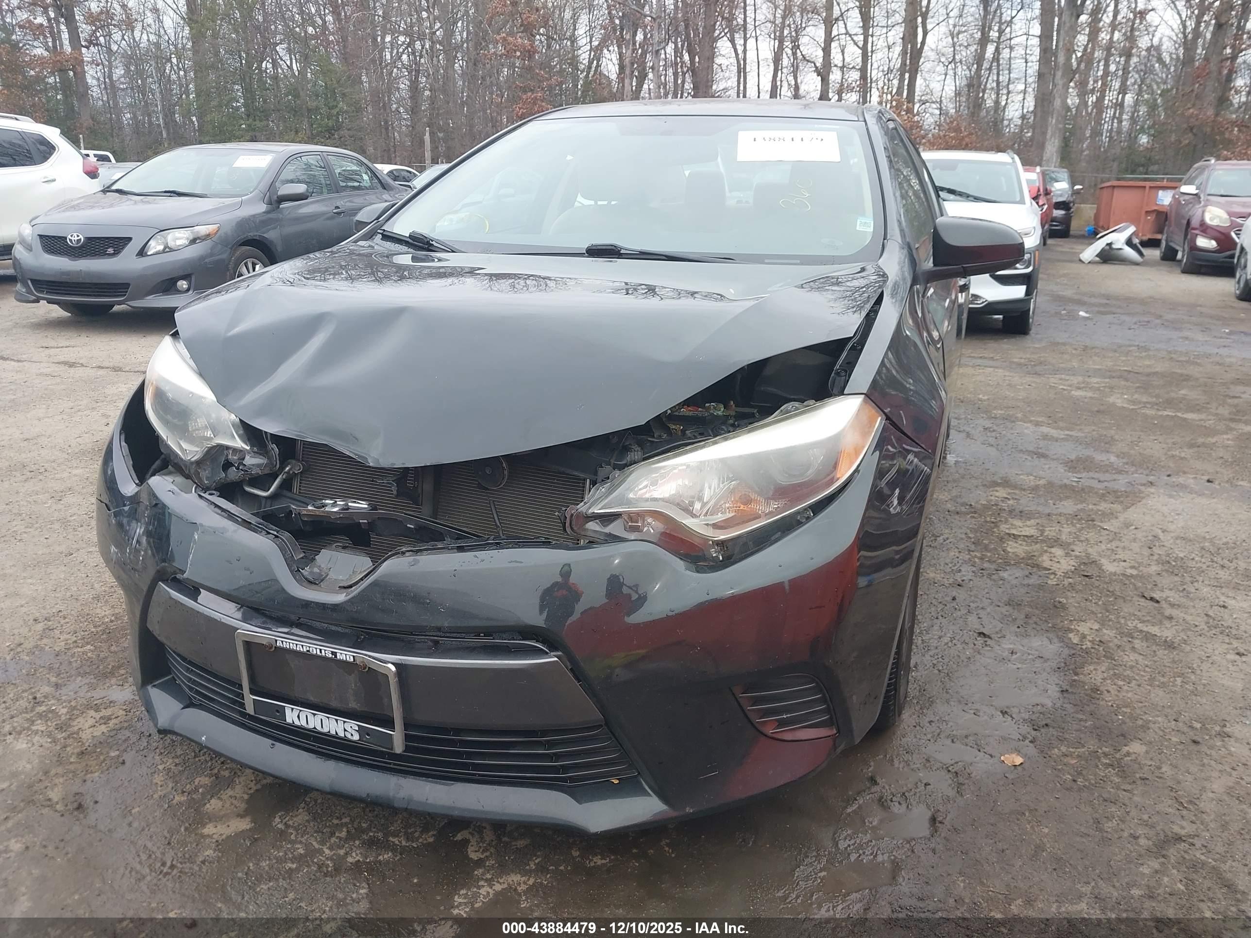 TOYOTA COROLLA image 6