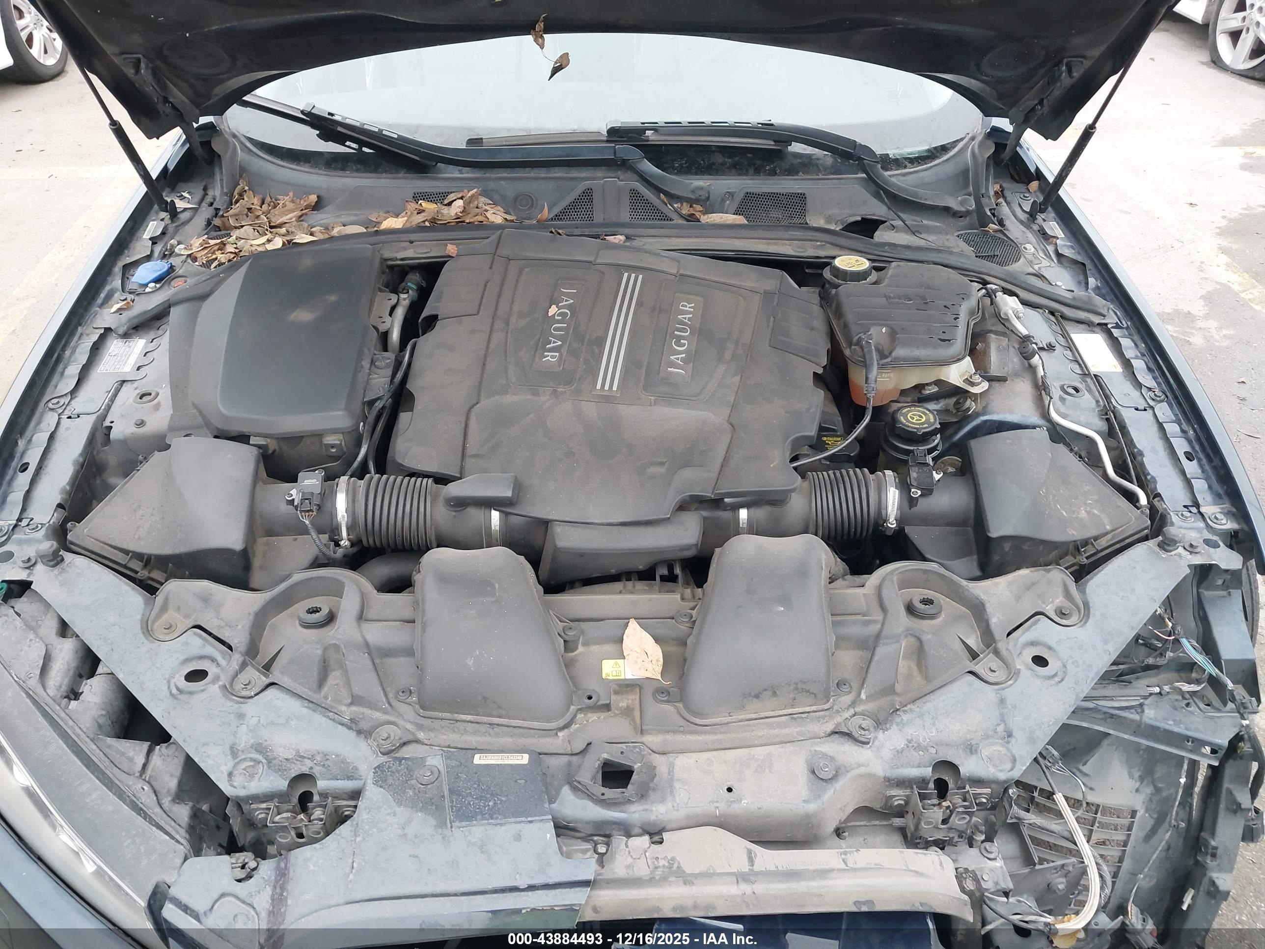 JAGUAR XF image 10