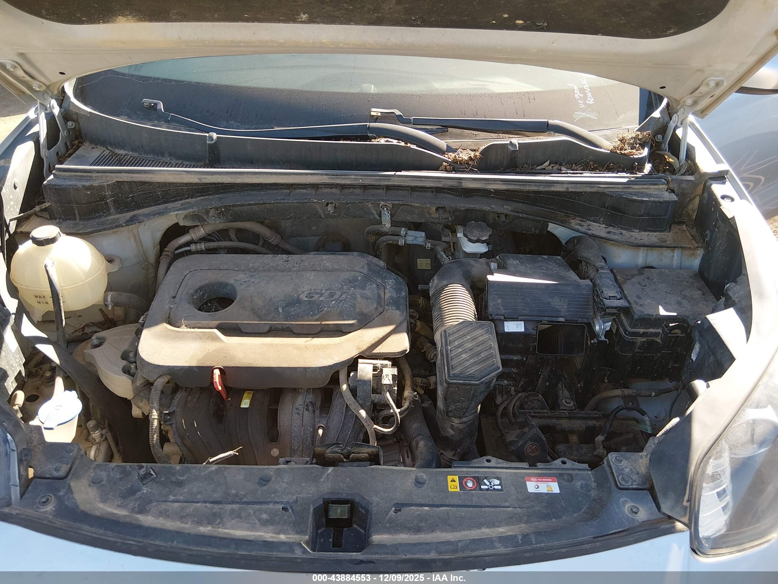 KIA SPORTAGE image 10