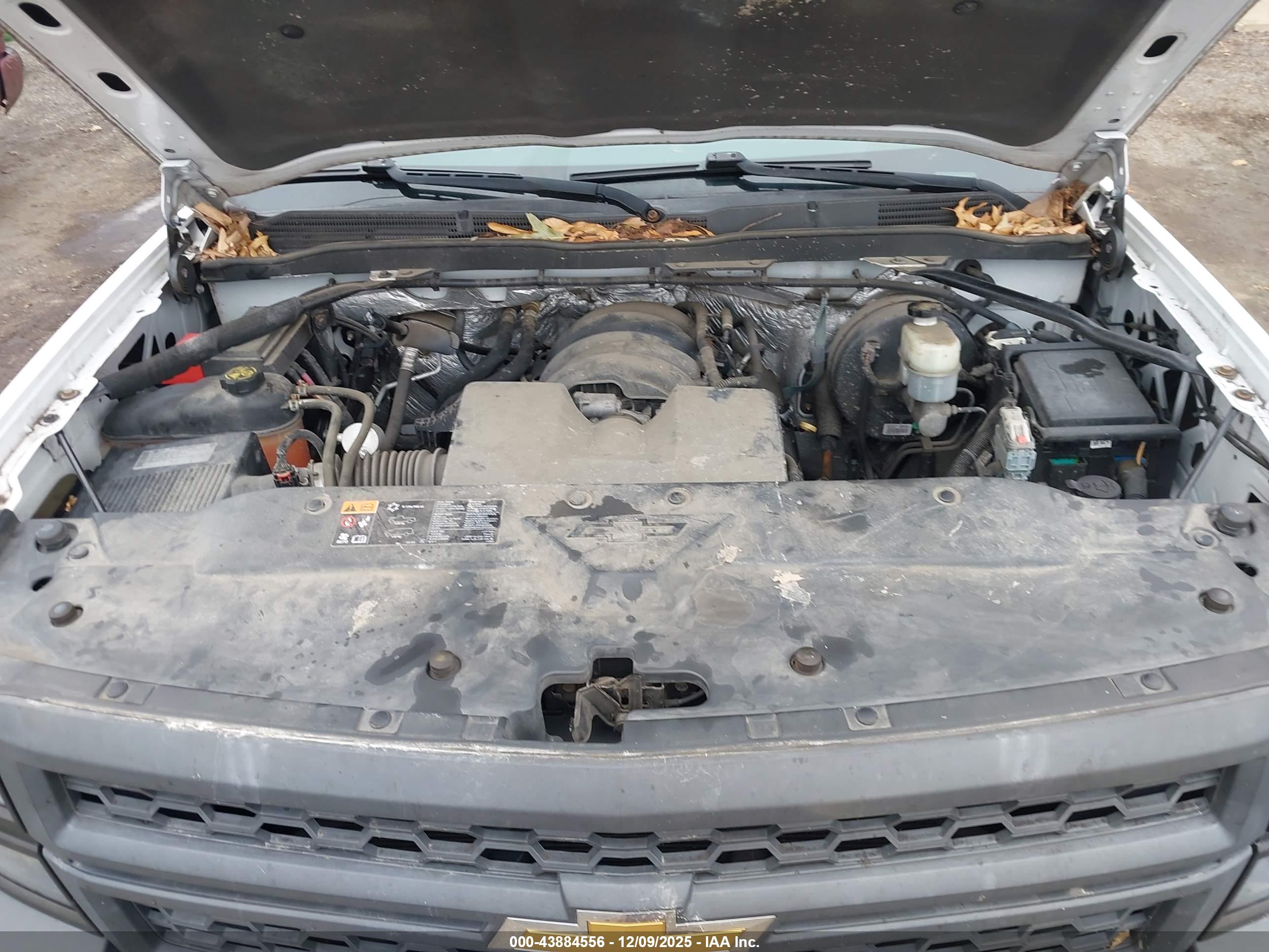 CHEVROLET SILVERADO image 10