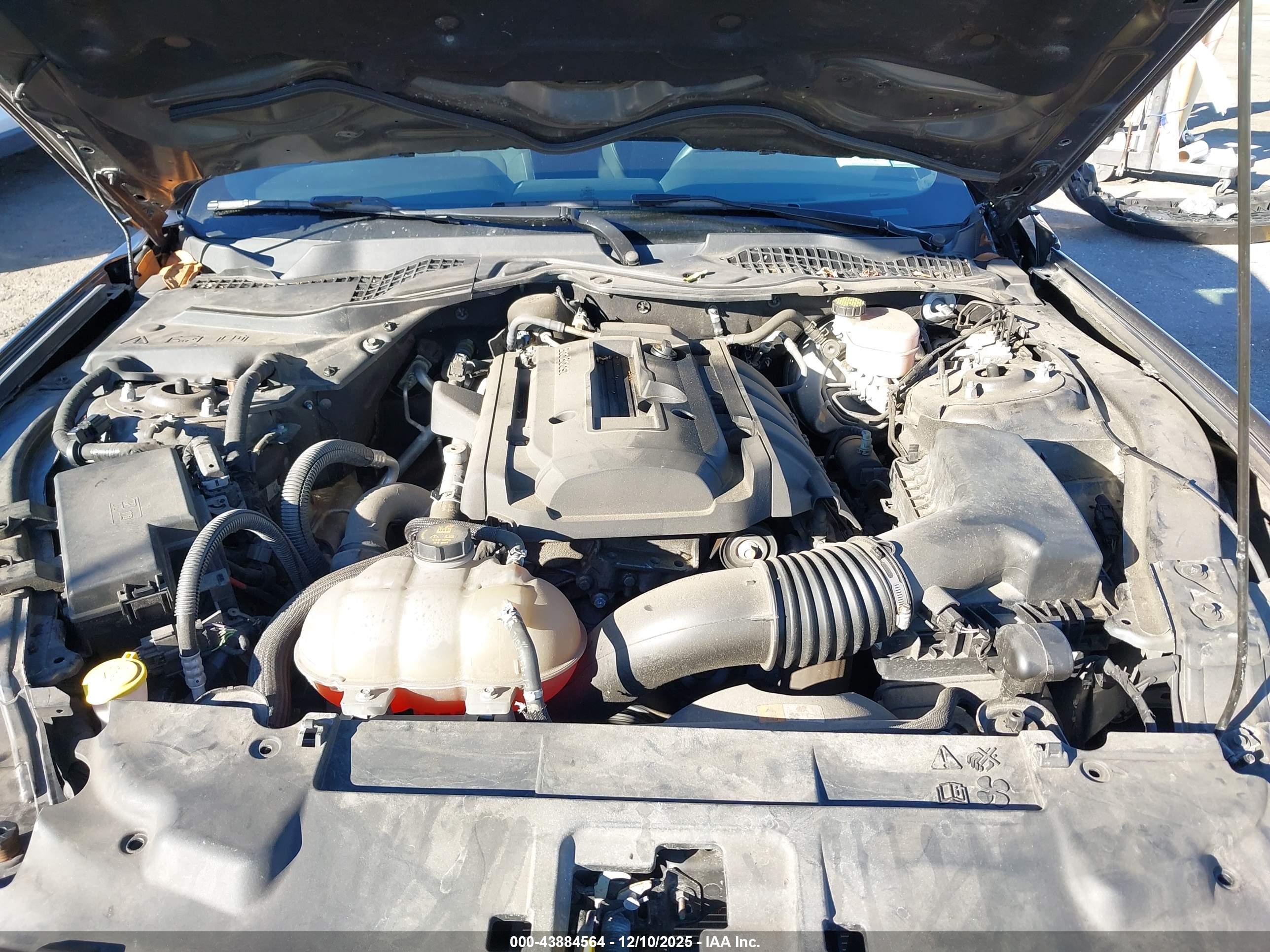 FORD MUSTANG image 10