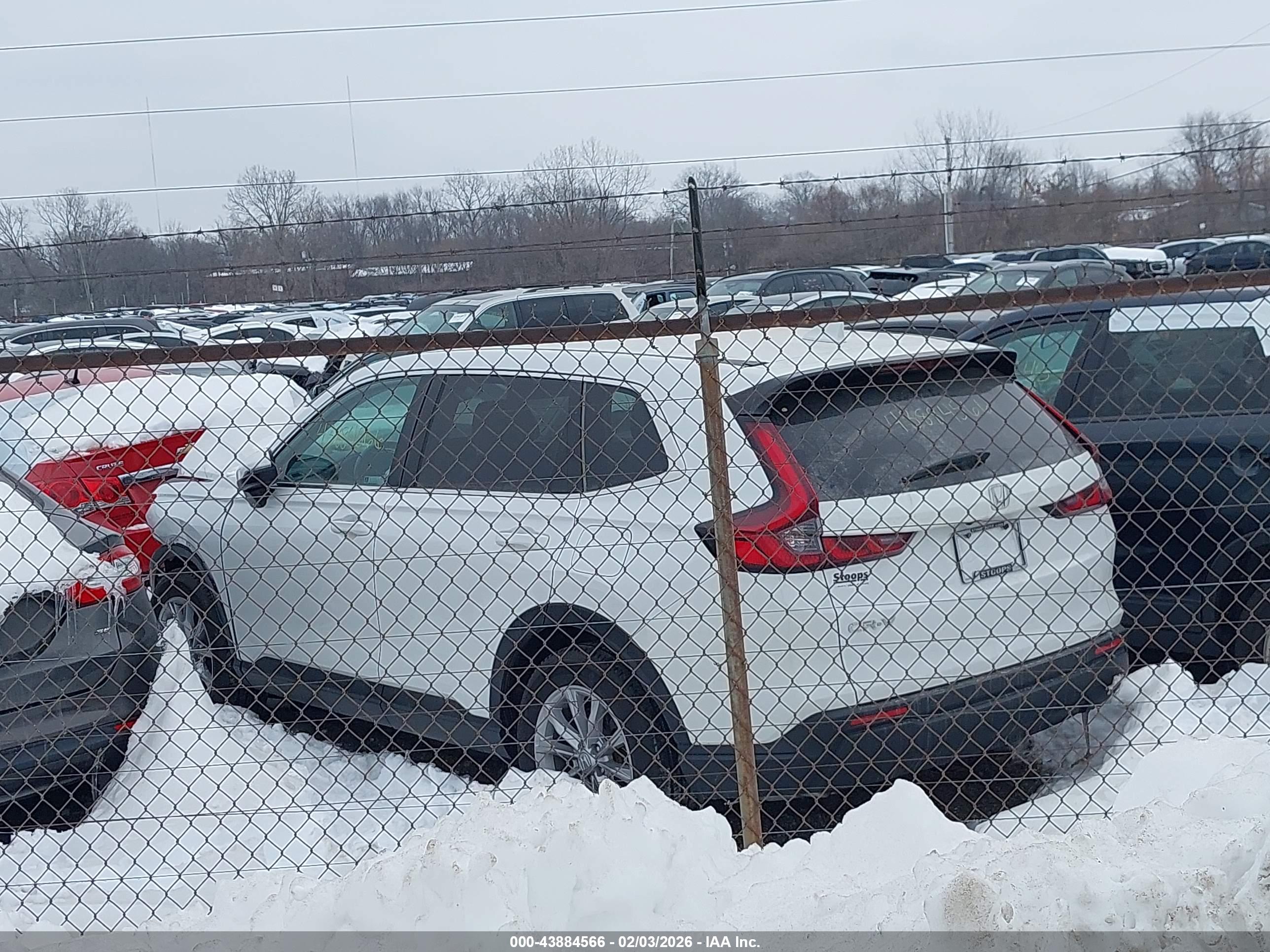 HONDA CR-V image 3