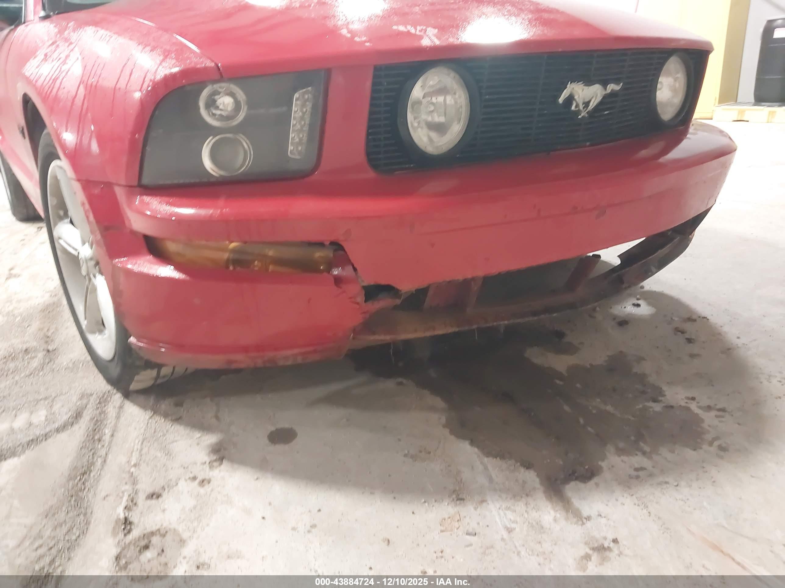 FORD MUSTANG image 6