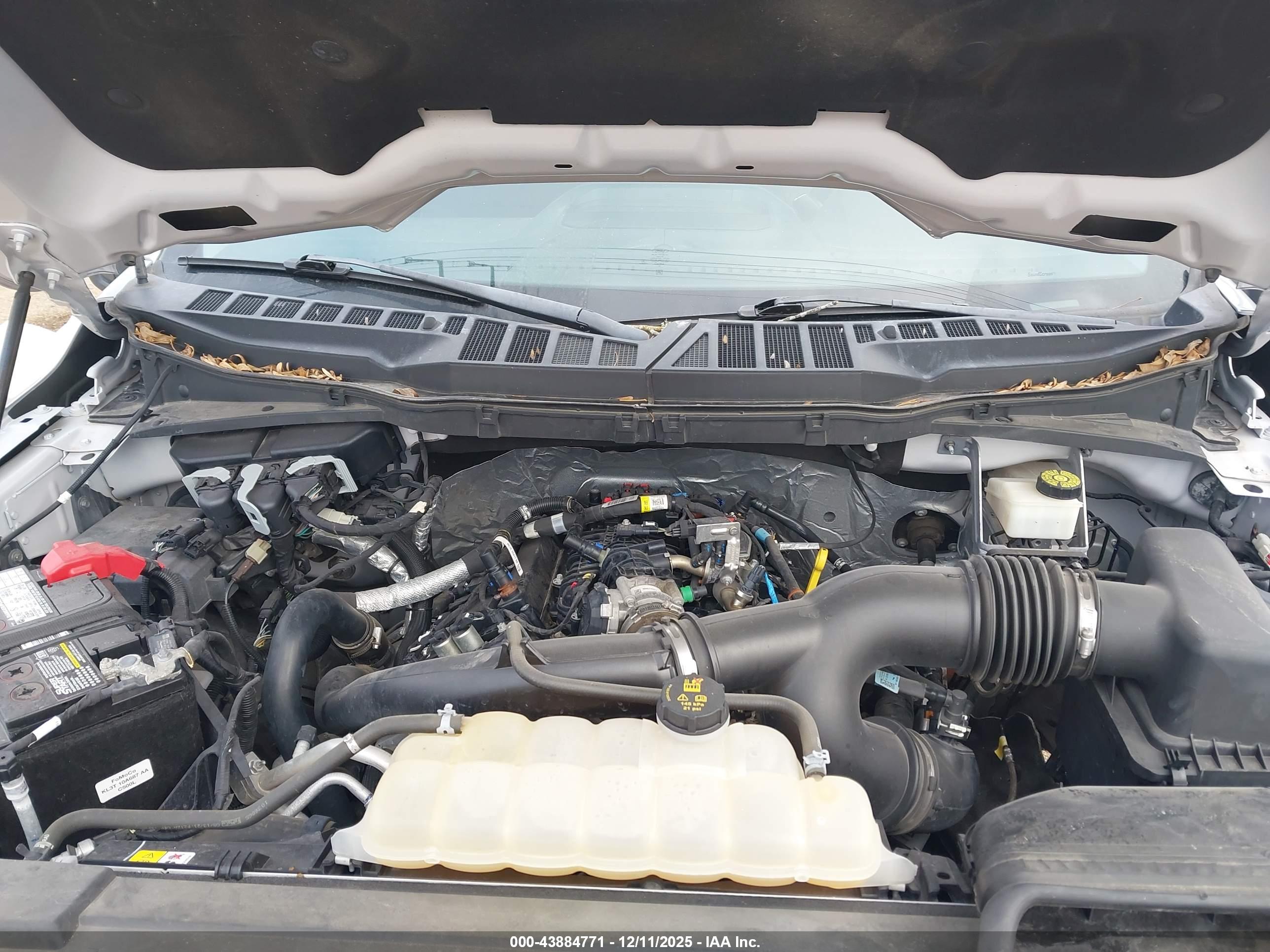 FORD F-150 image 10
