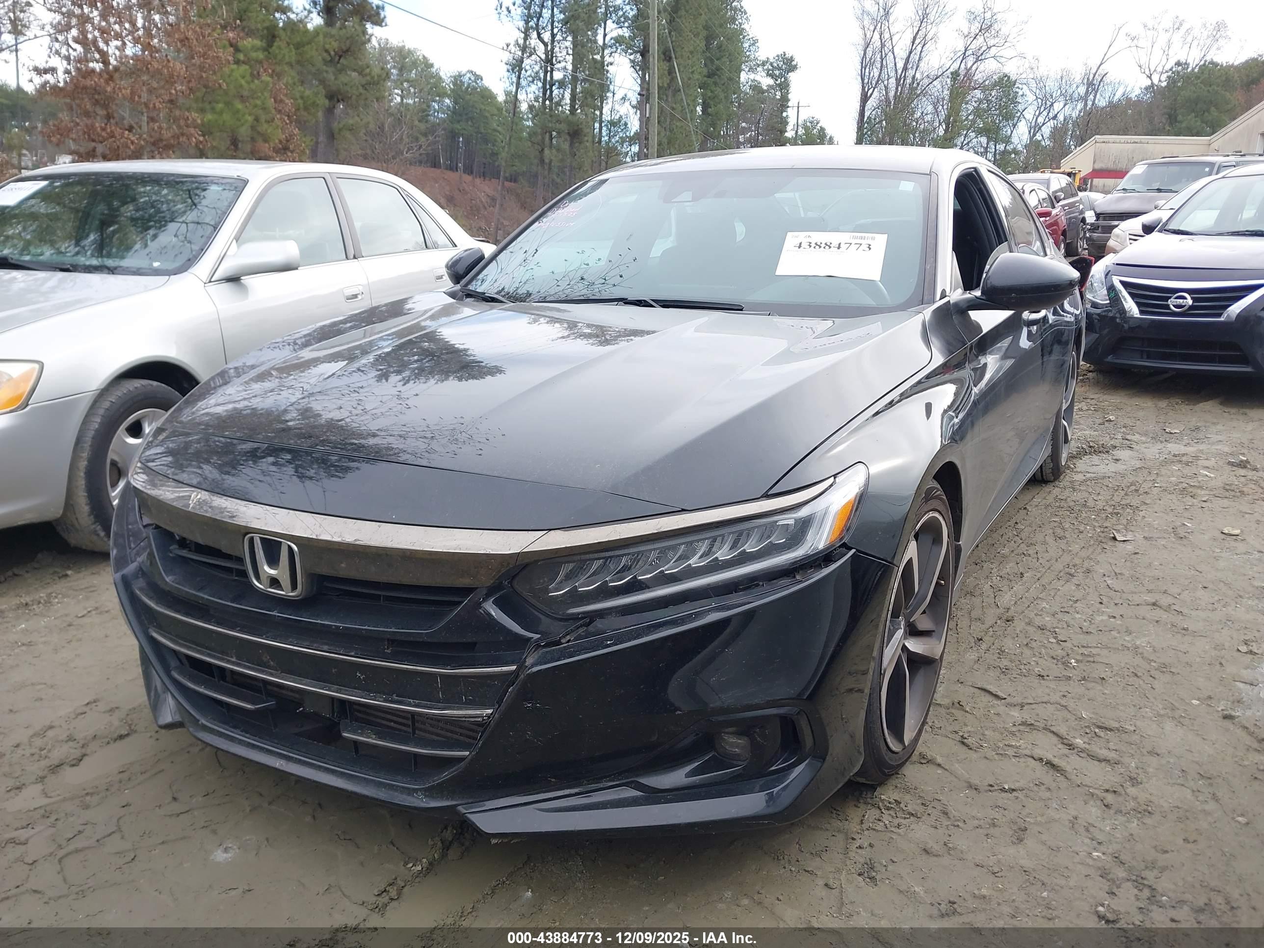 HONDA ACCORD image 2