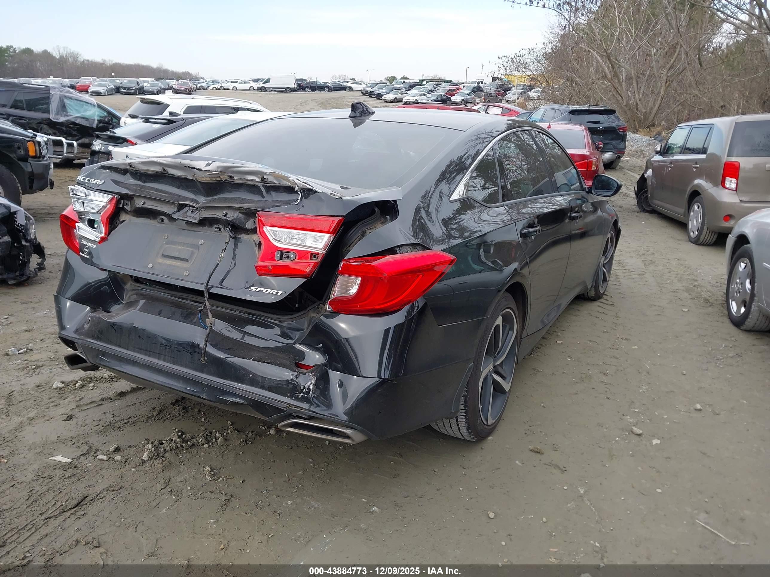 HONDA ACCORD image 4