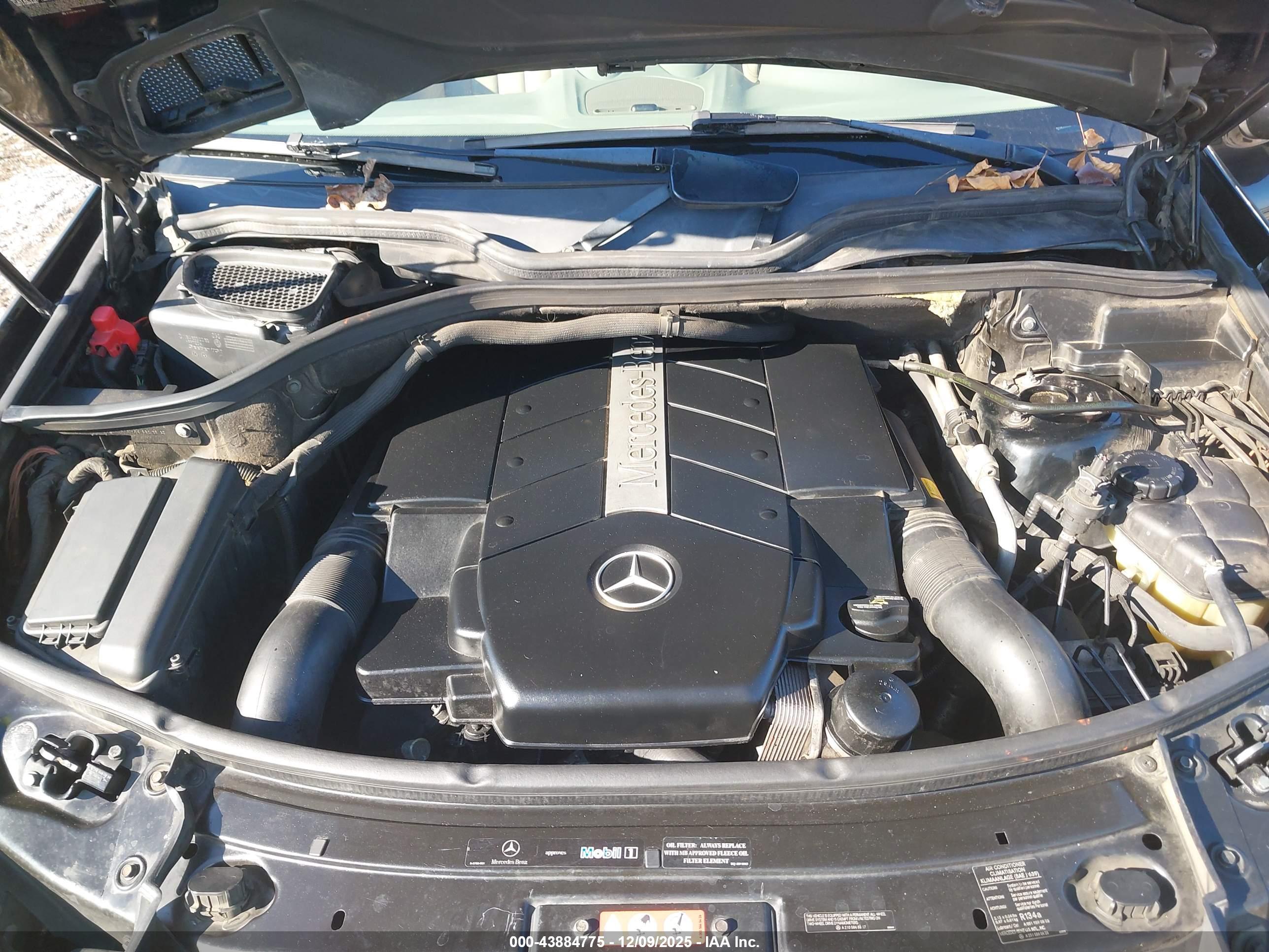 MERCEDES-BENZ ML image 10