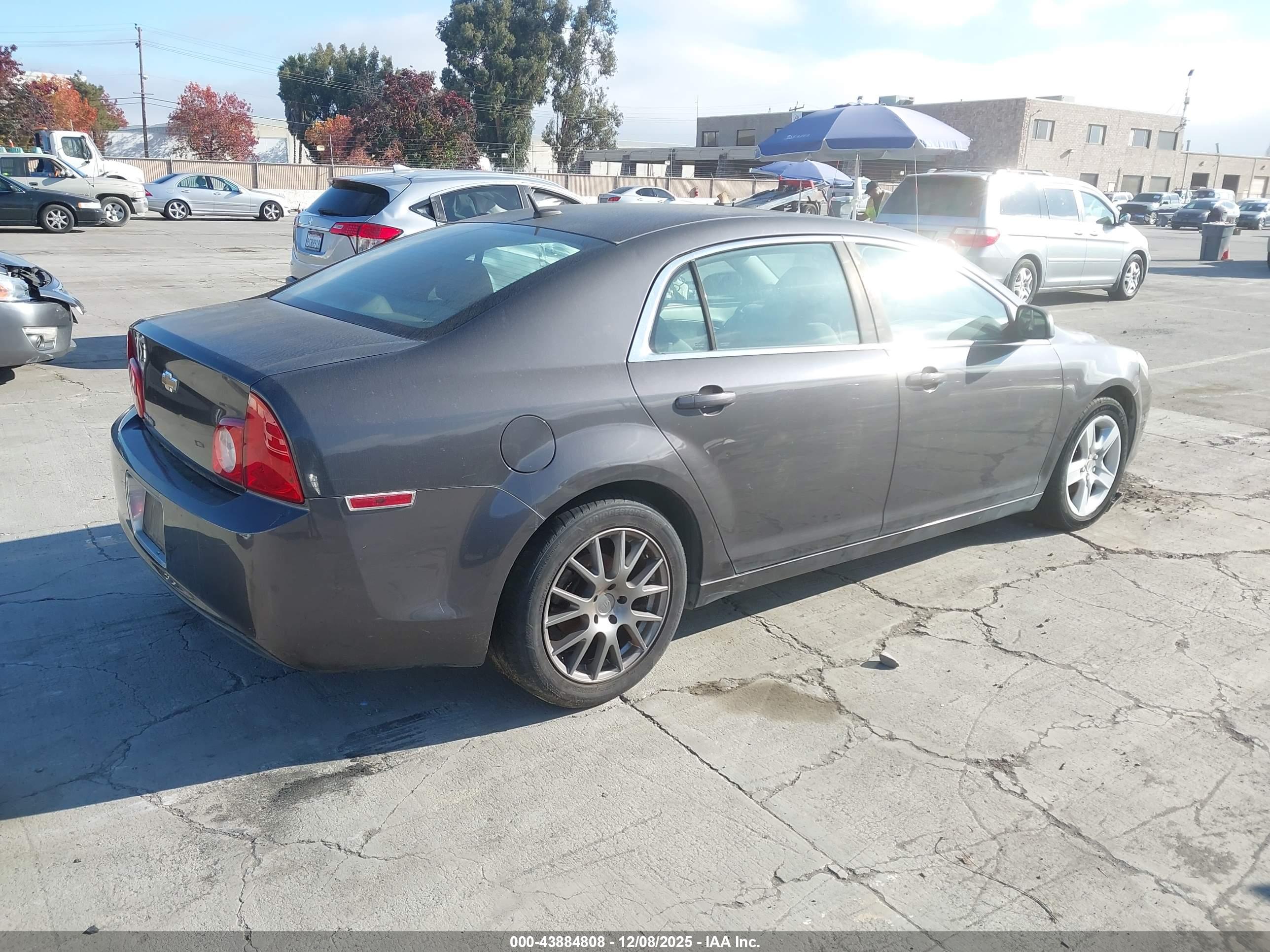 CHEVROLET MALIBU image 4
