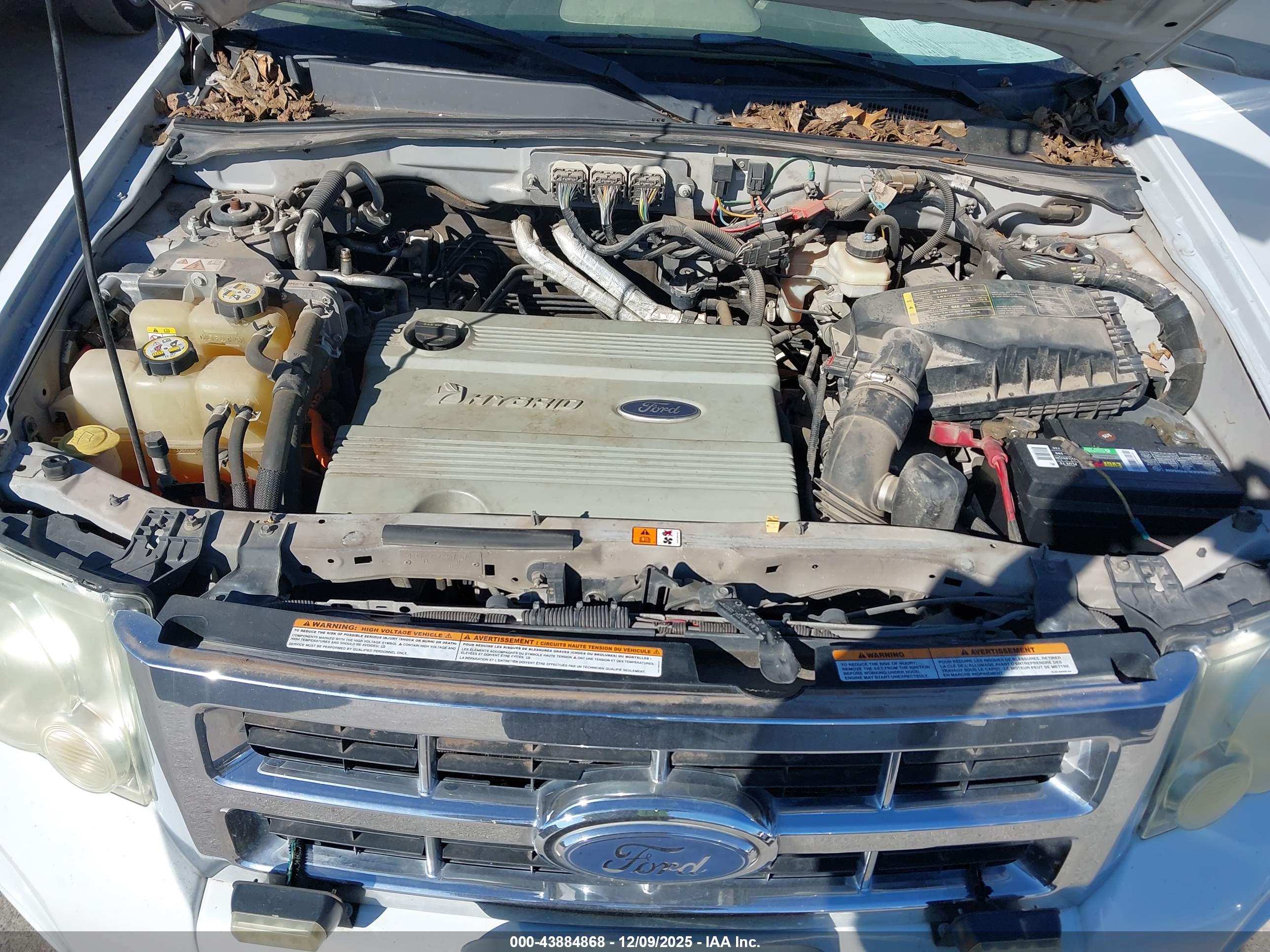FORD ESCAPE image 10