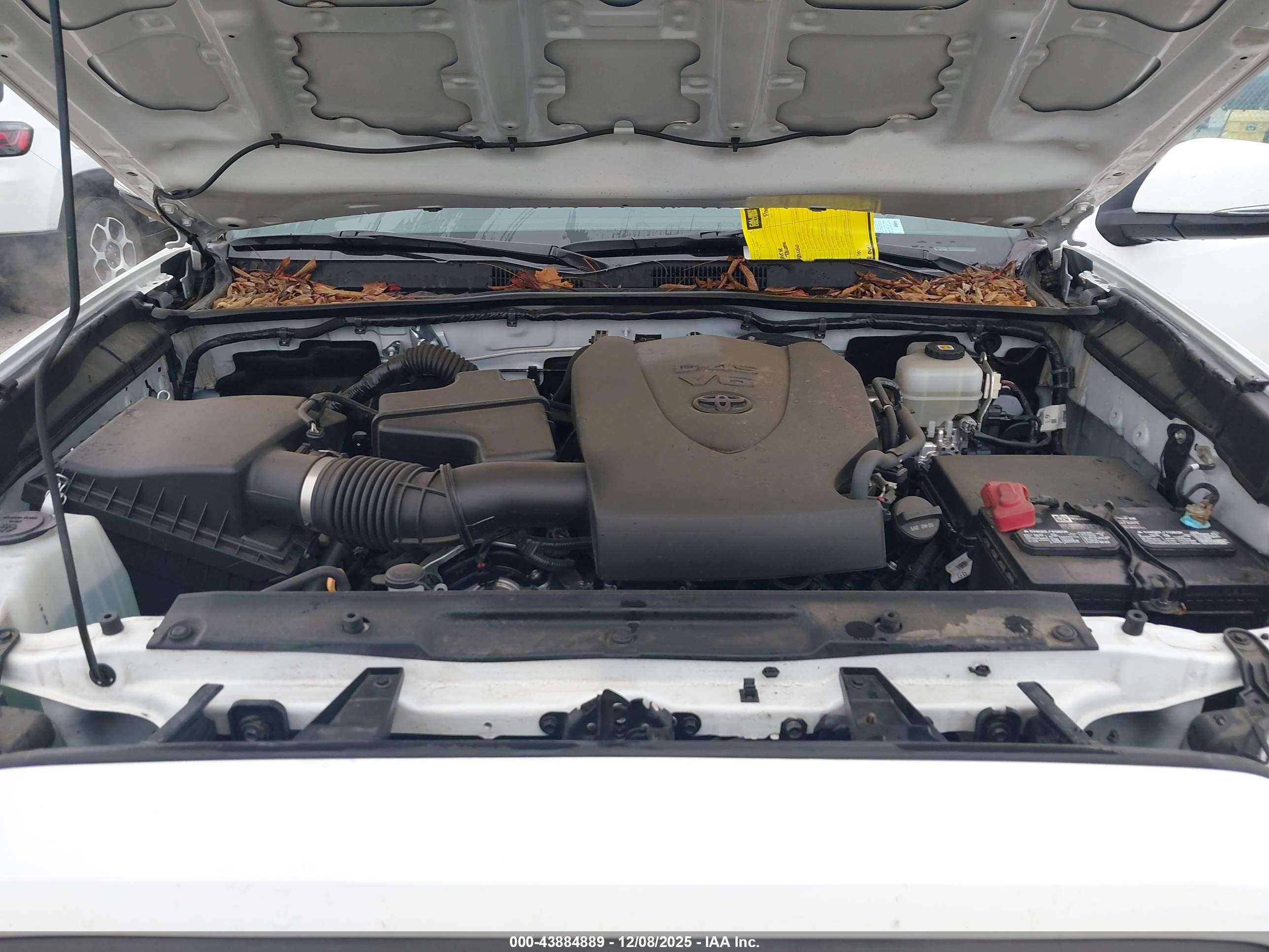 TOYOTA TACOMA image 10