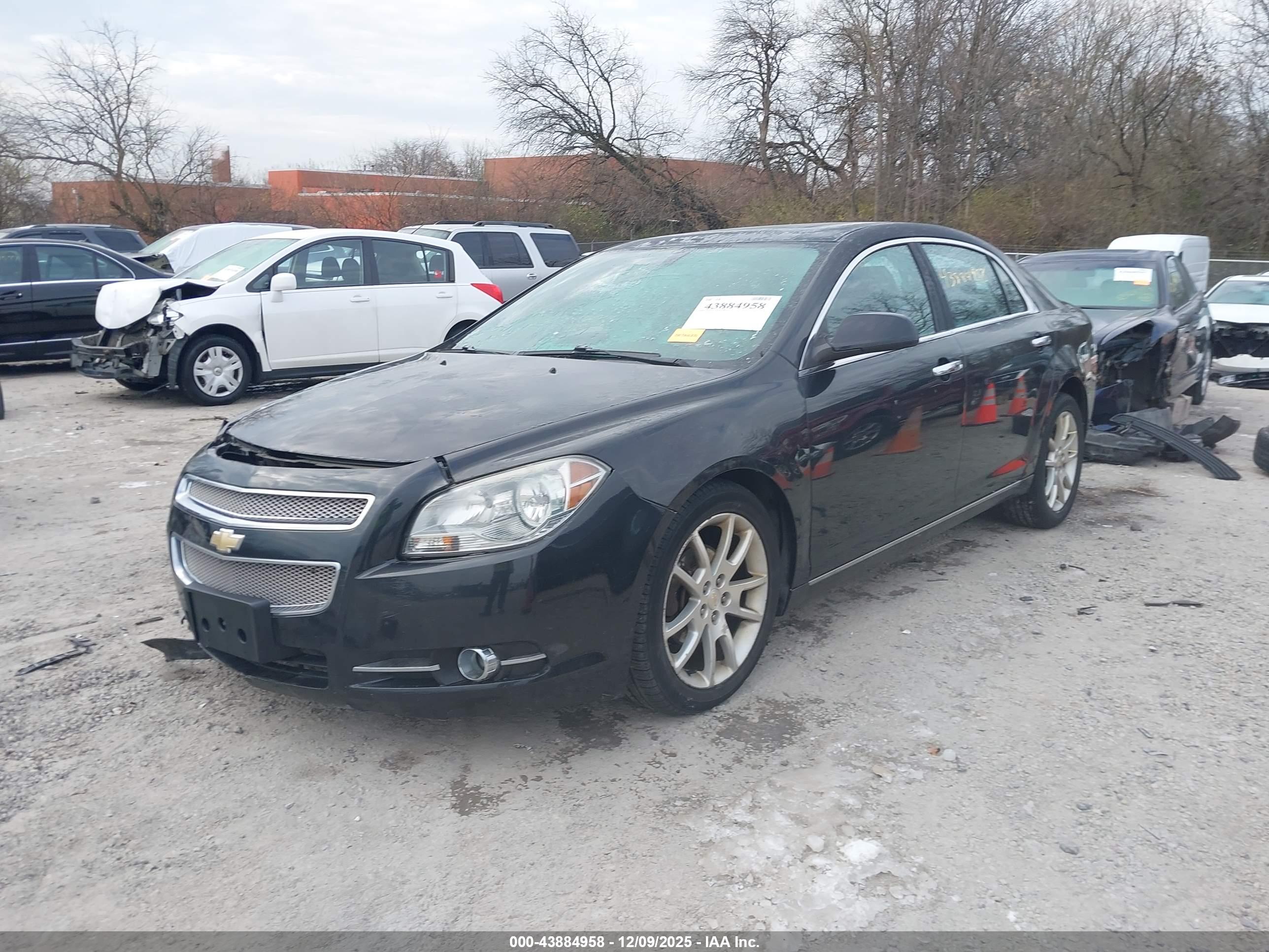 CHEVROLET MALIBU image 2