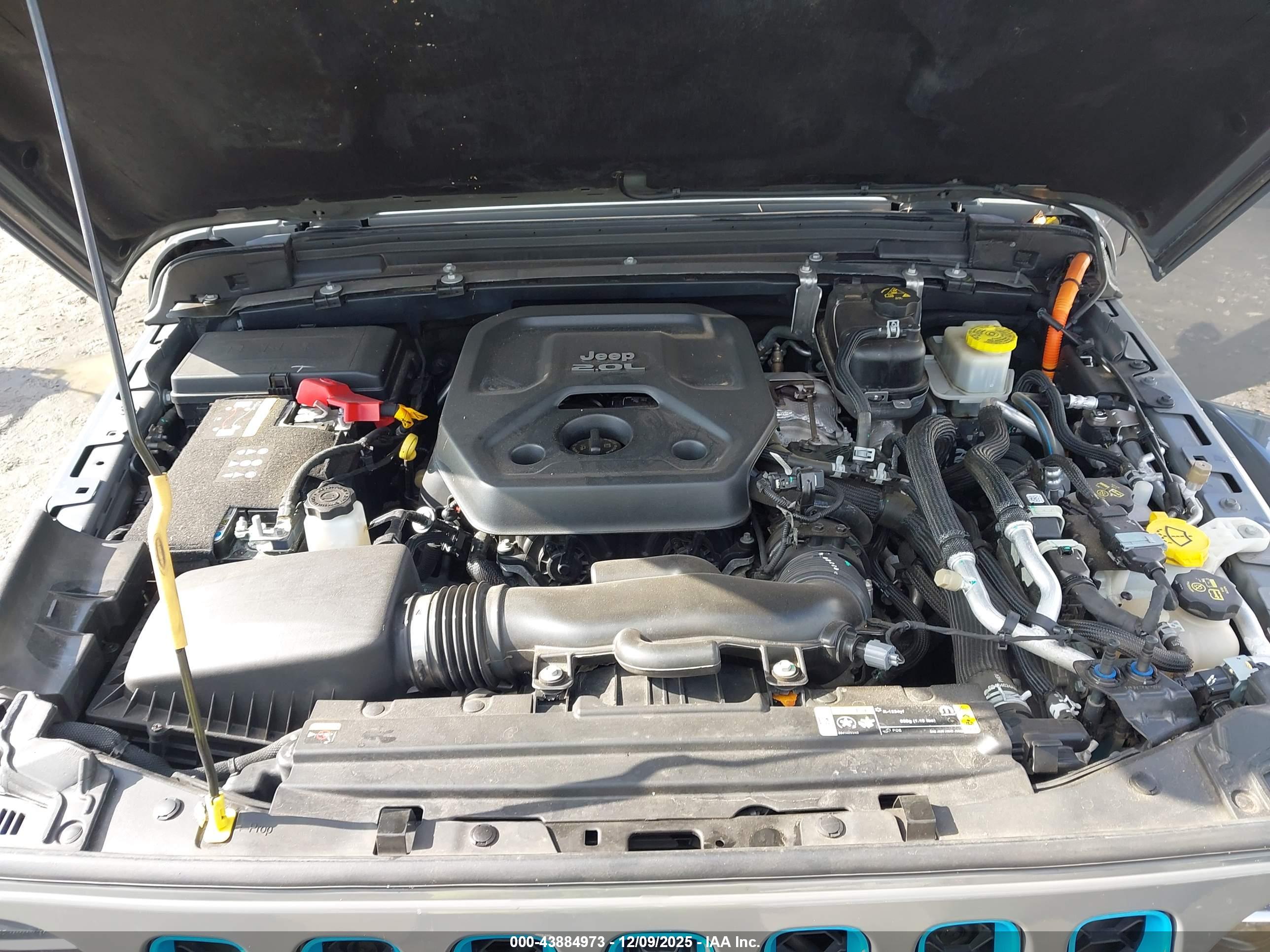 JEEP WRANGLER image 10