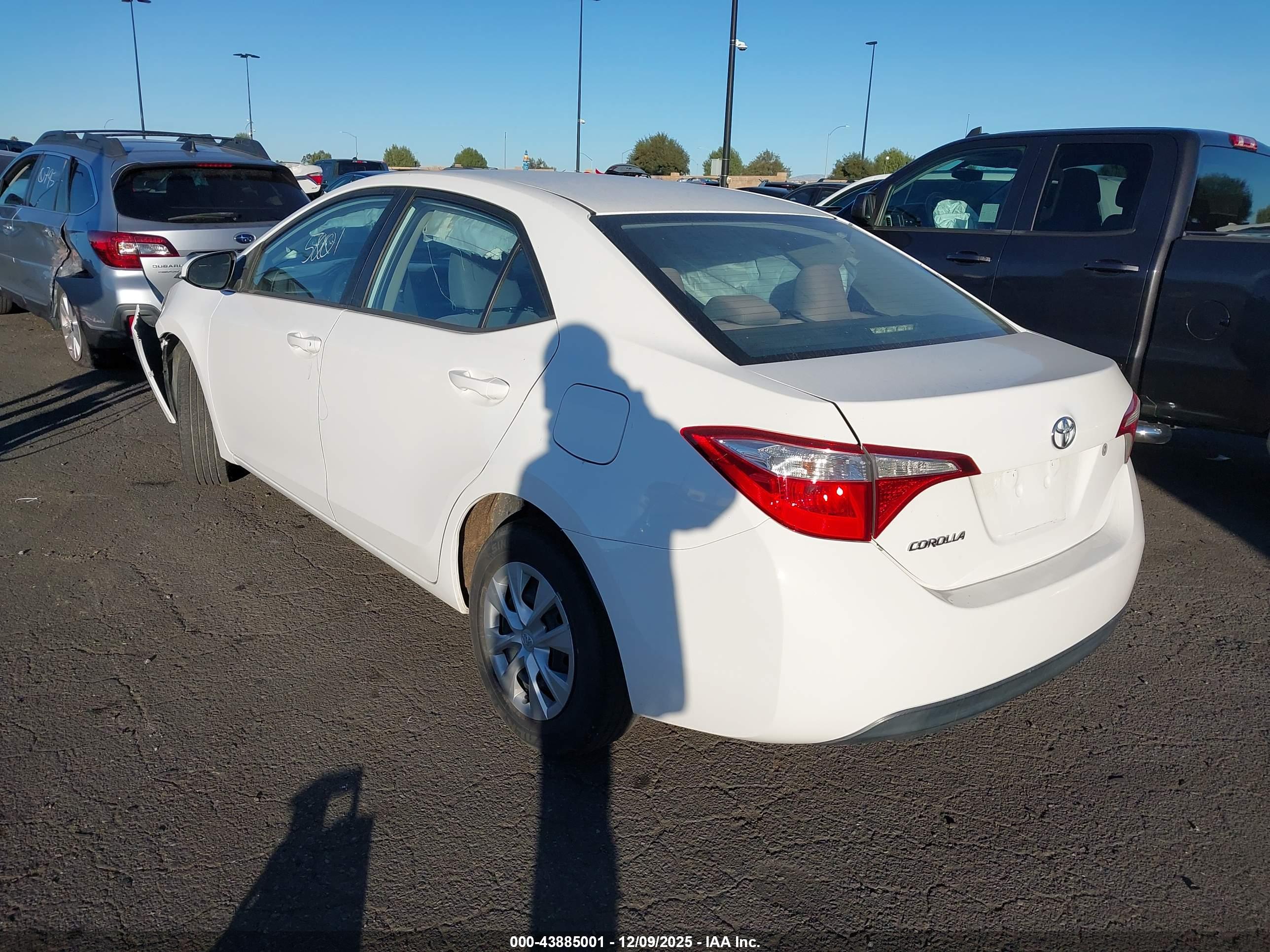 TOYOTA COROLLA image 3