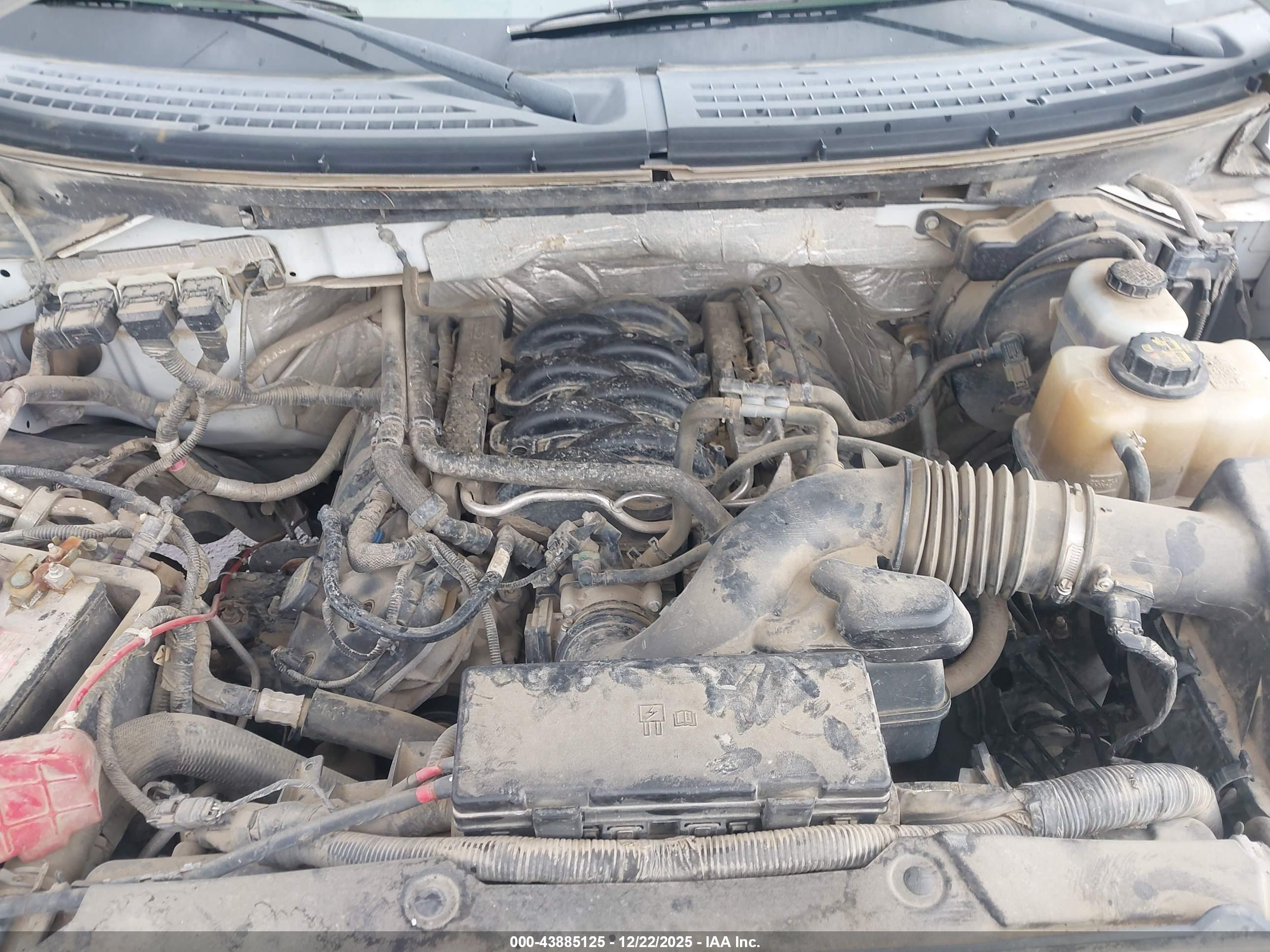 FORD F-150 image 10