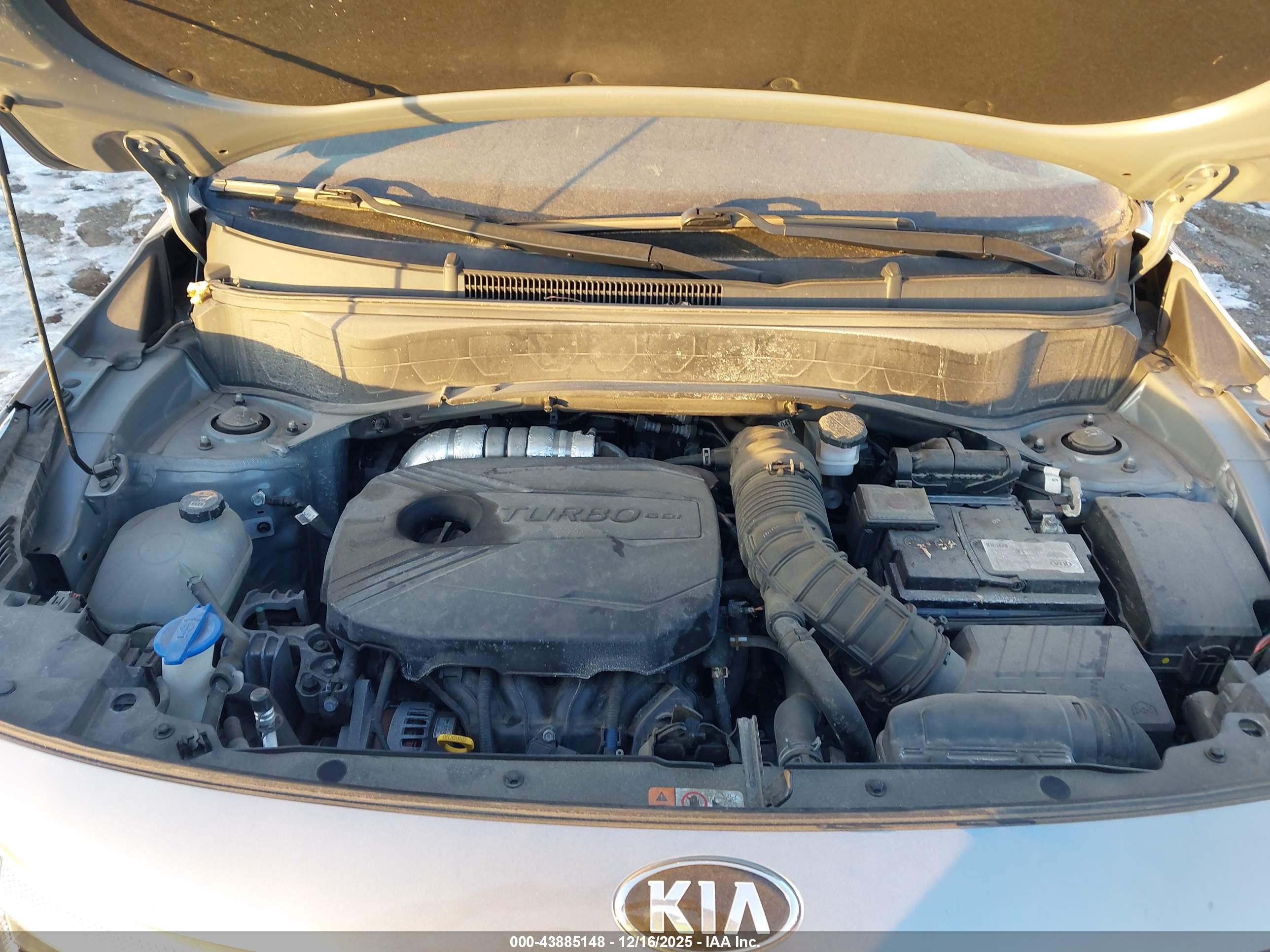 KIA SELTOS image 10