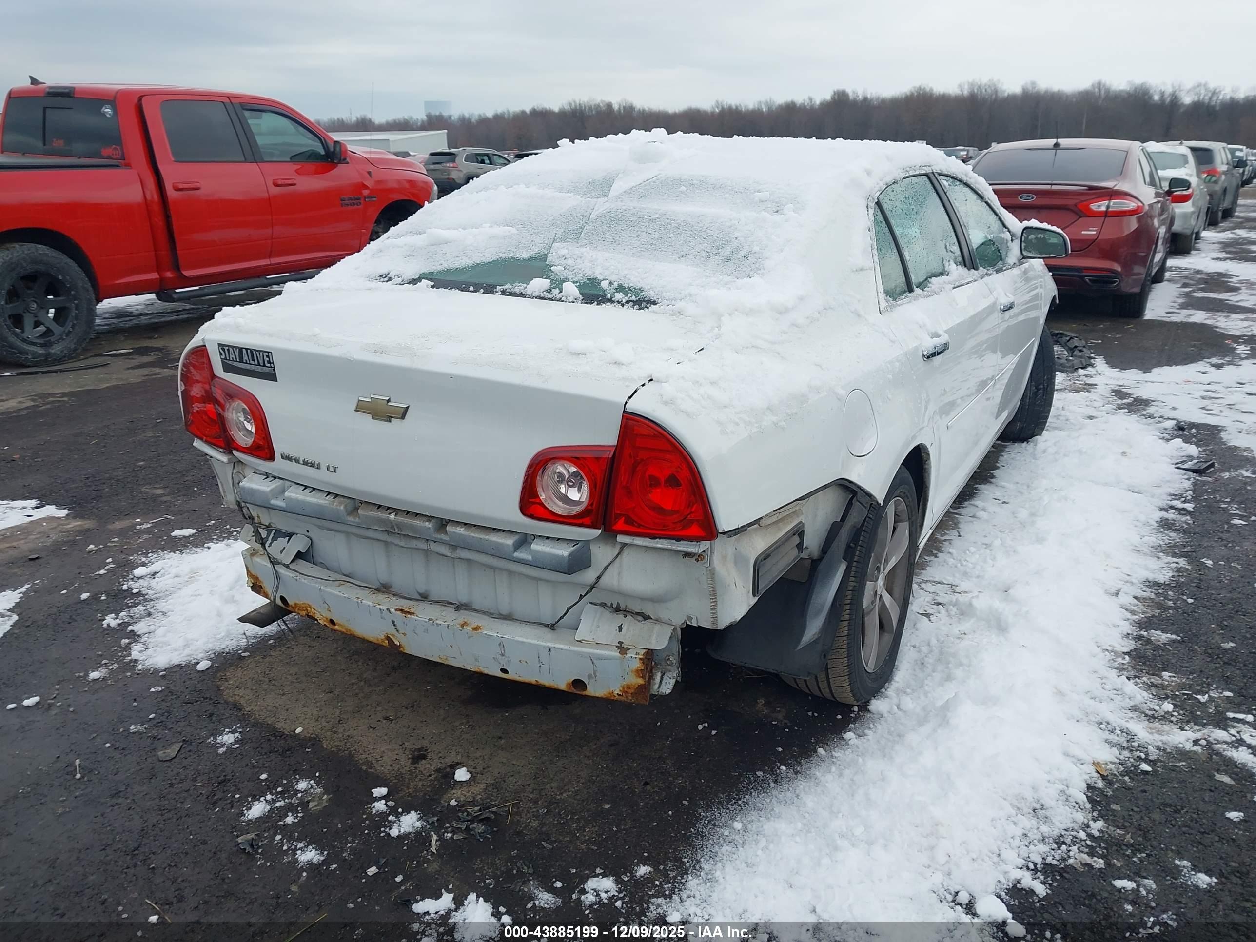 CHEVROLET MALIBU image 4
