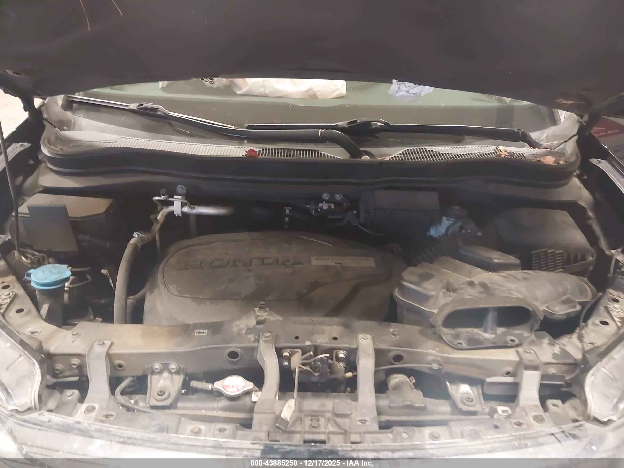 HONDA PILOT image 10