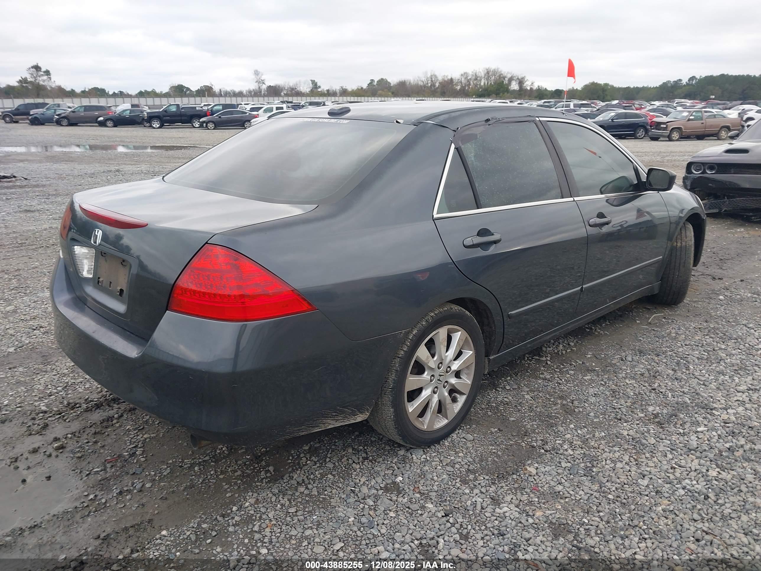 HONDA ACCORD image 4