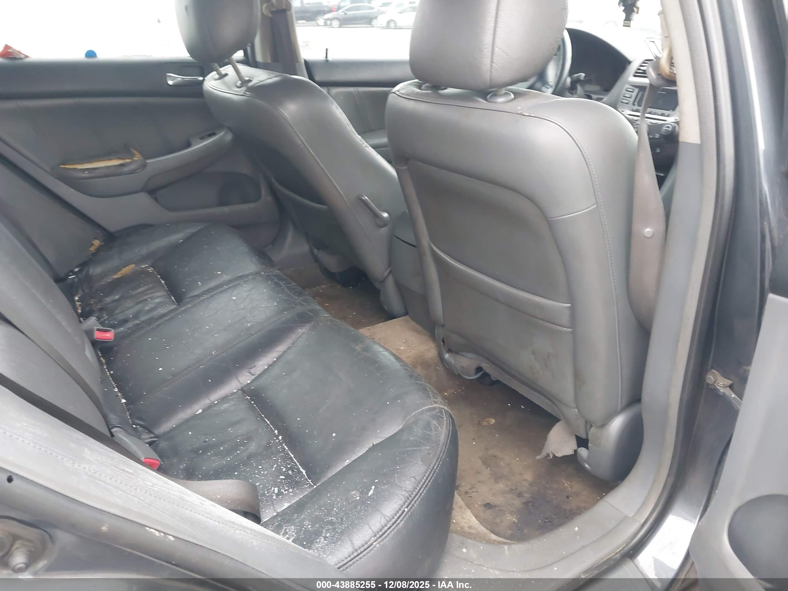 HONDA ACCORD image 8