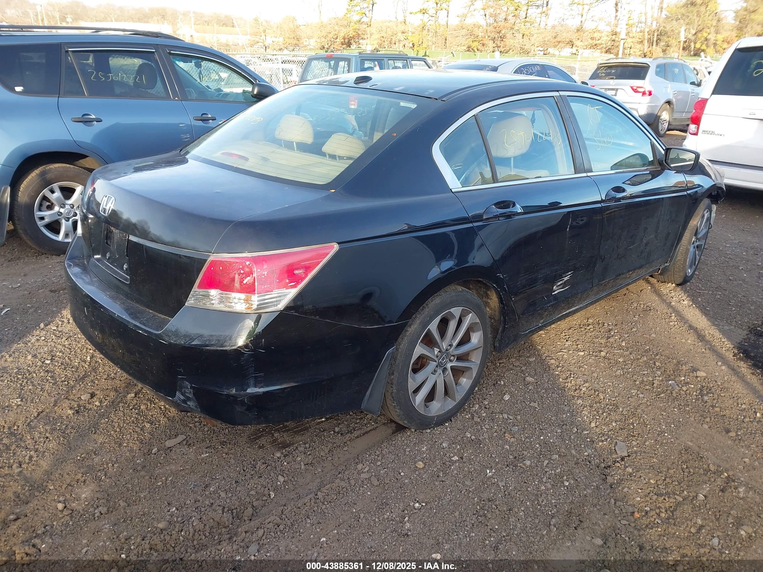 HONDA ACCORD image 4