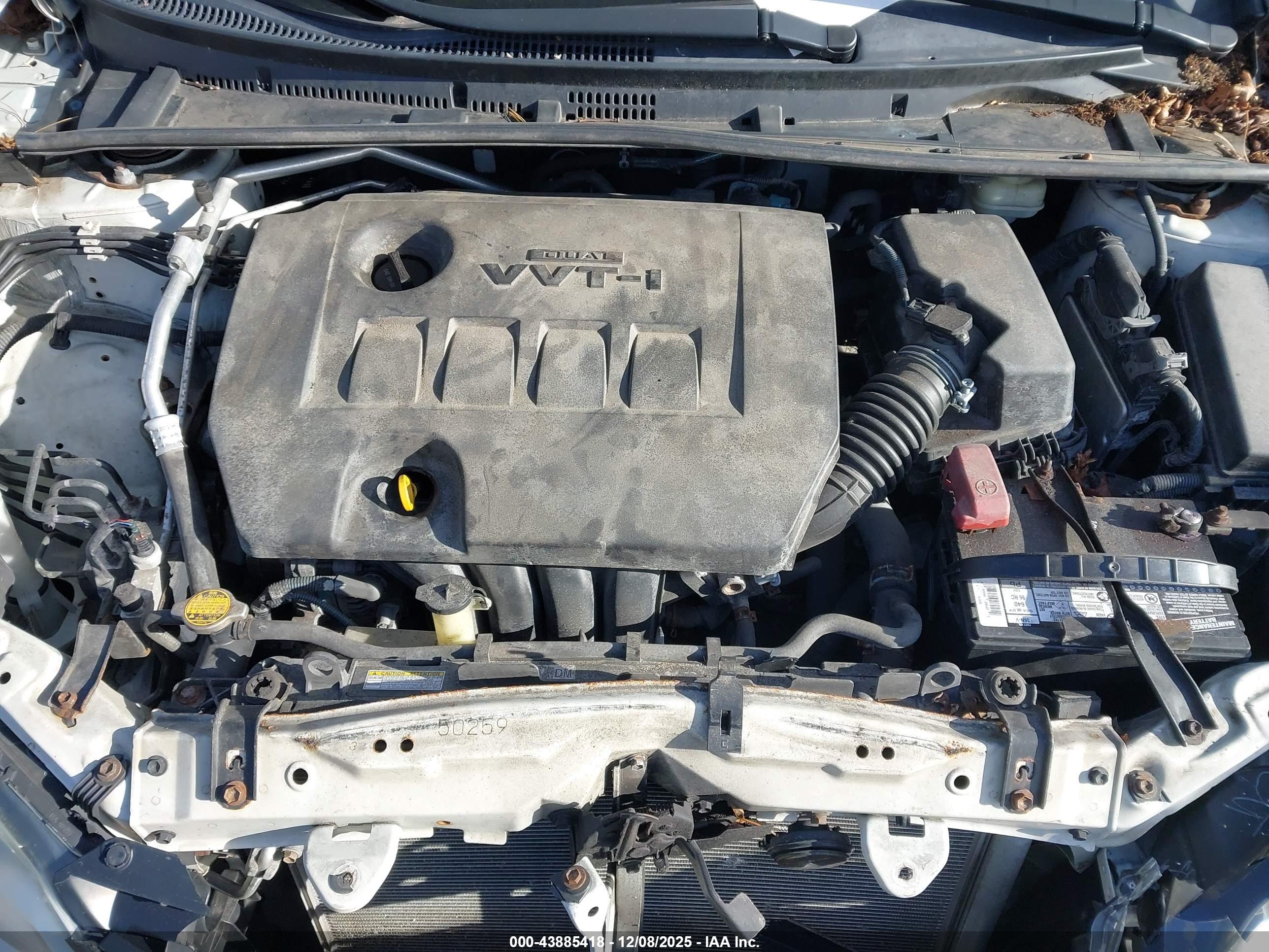 TOYOTA COROLLA image 10