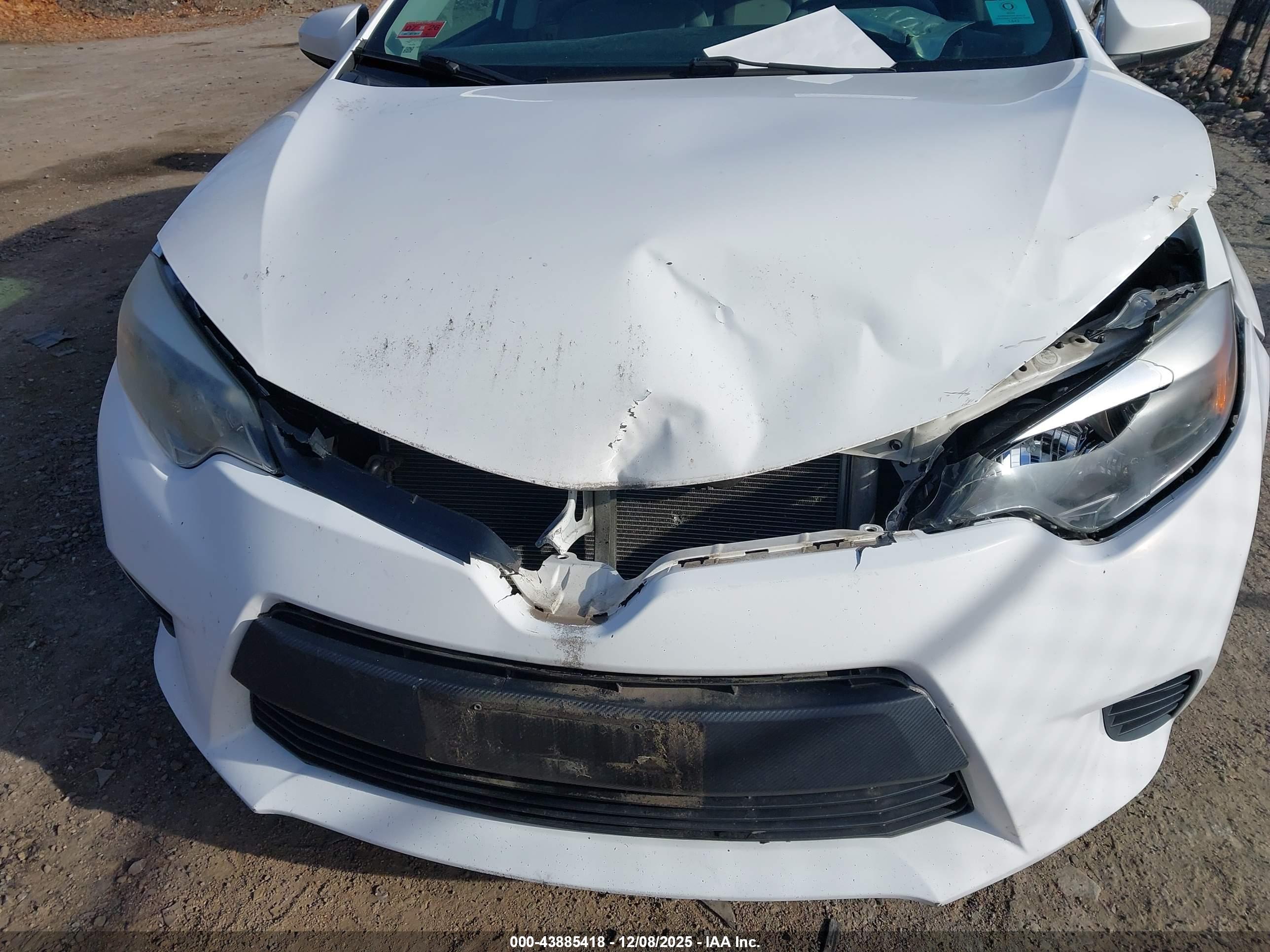 TOYOTA COROLLA image 6